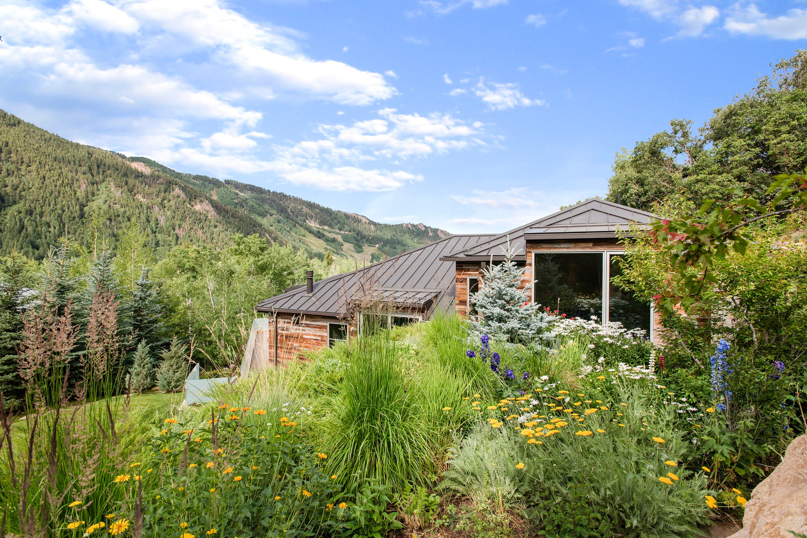 136 Northway Drive, Aspen, CO 81611 - Photo 19