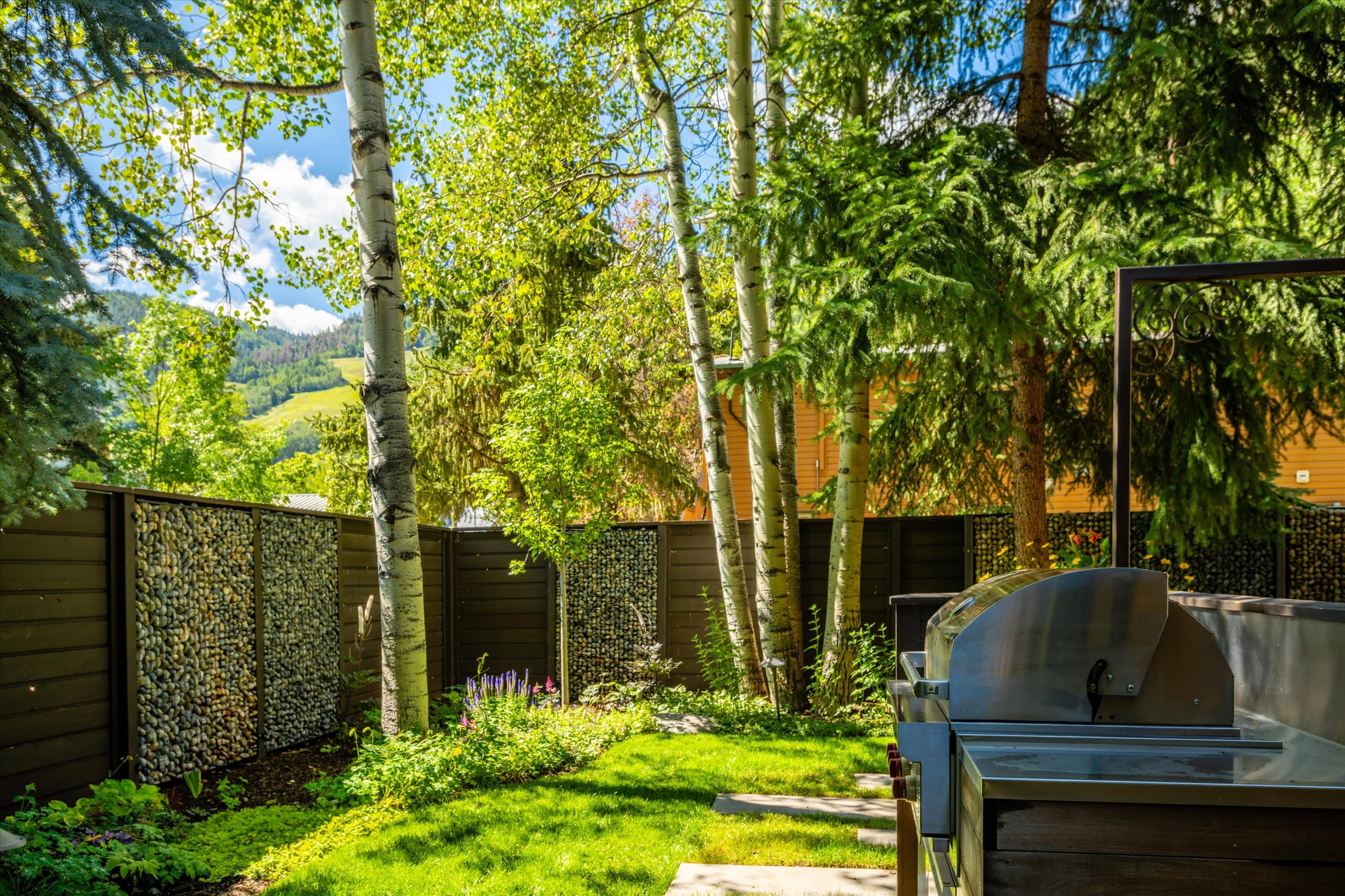 303 W Hopkins Avenue, Aspen, CO 81611 - Photo 36