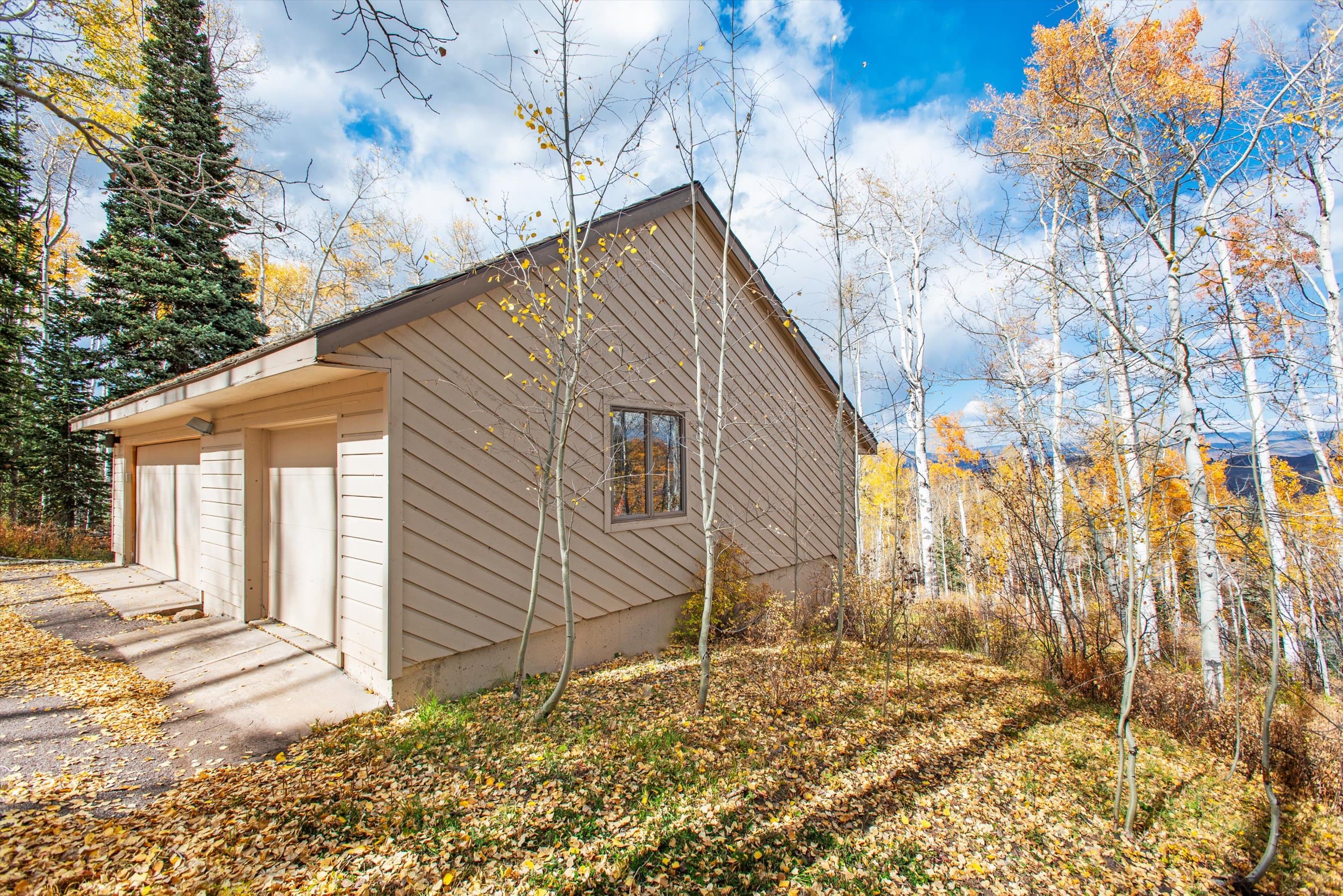 2055 Faraway Road, Snowmass Village, CO 81615 - Photo 10