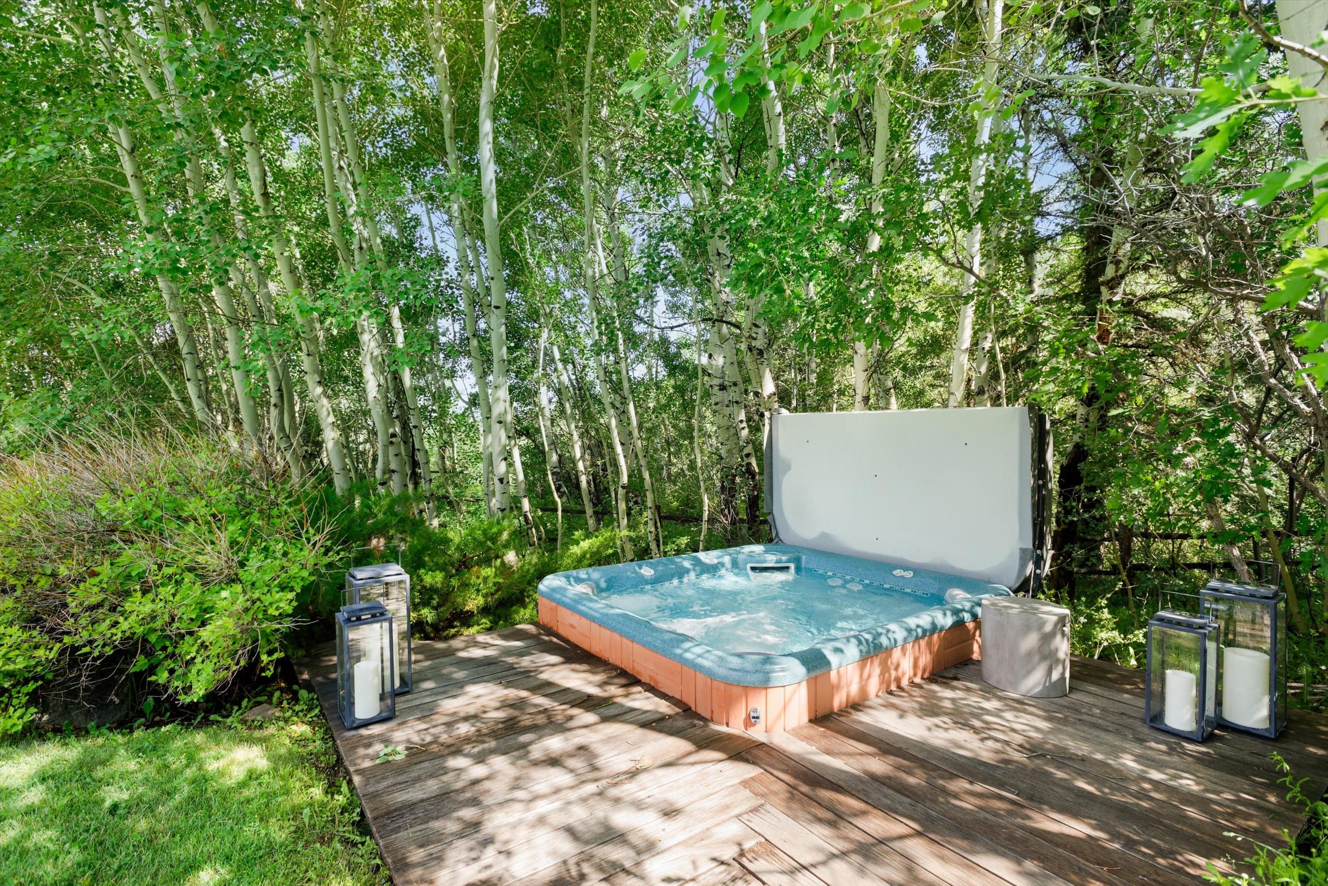 700 Nell Erickson Road, Aspen, CO 81611 - Photo 17
