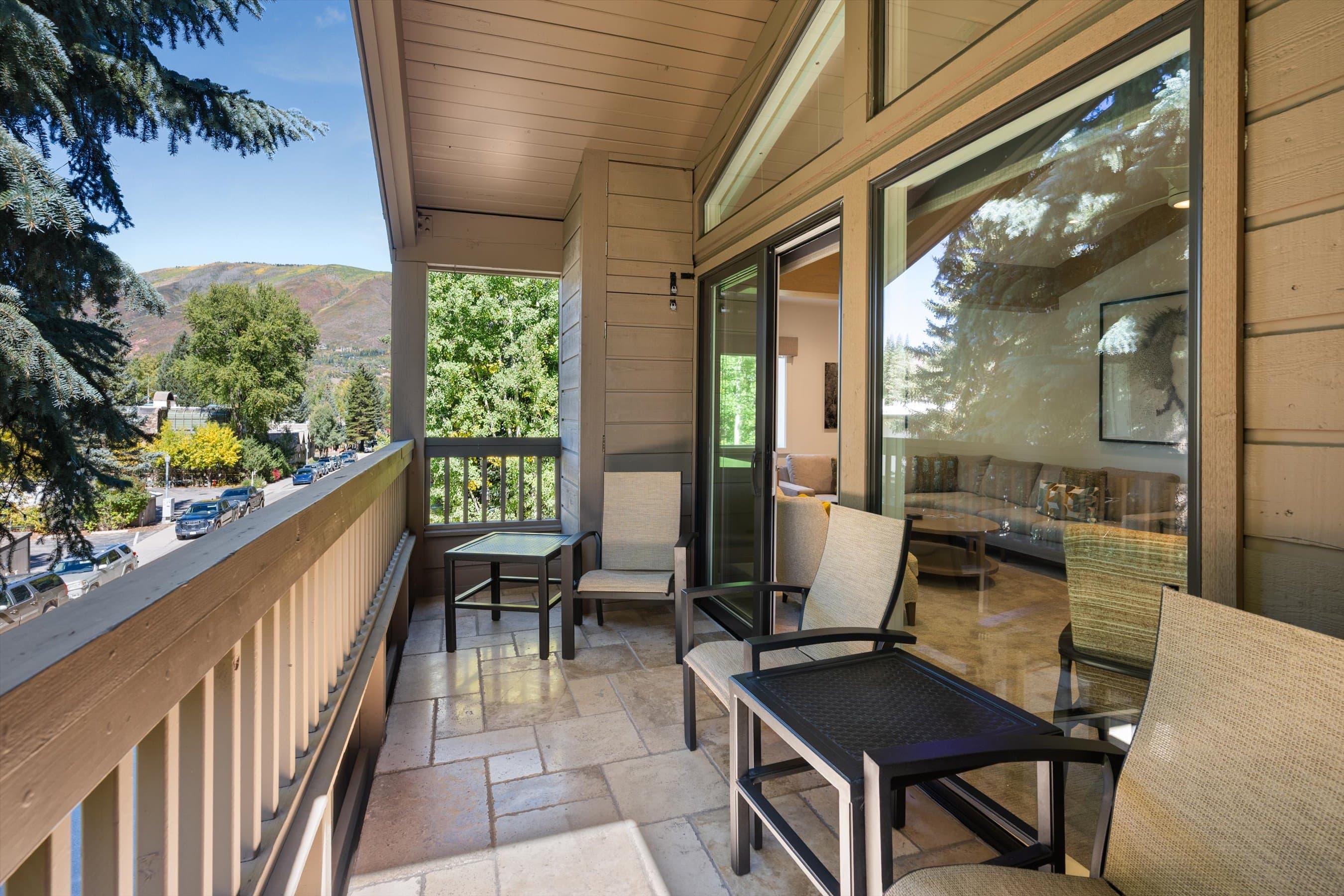 610 S West End Street A304, Aspen, CO 81611 - Photo 8