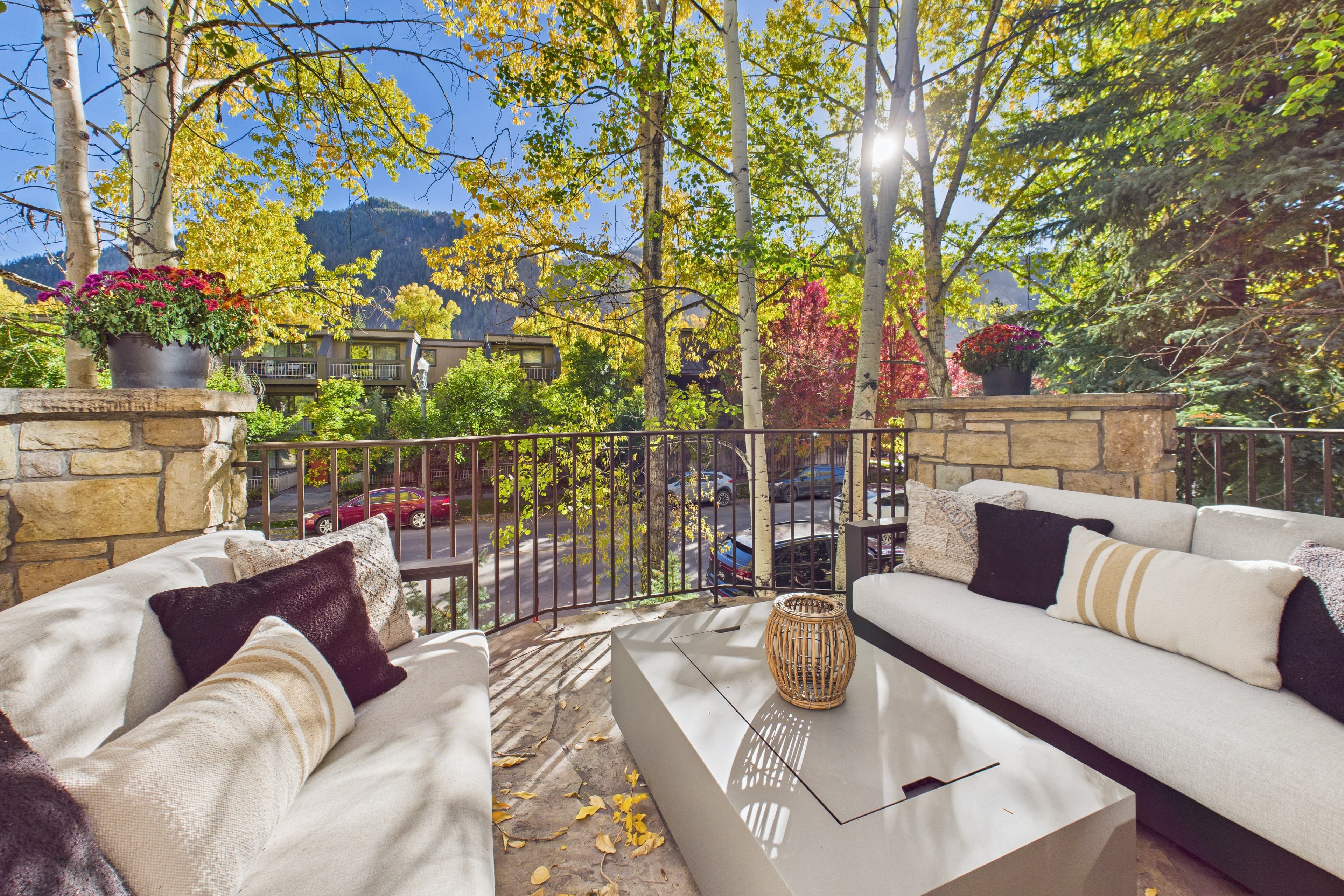910 E Cooper Avenue, Aspen, CO 81611 - Photo 25