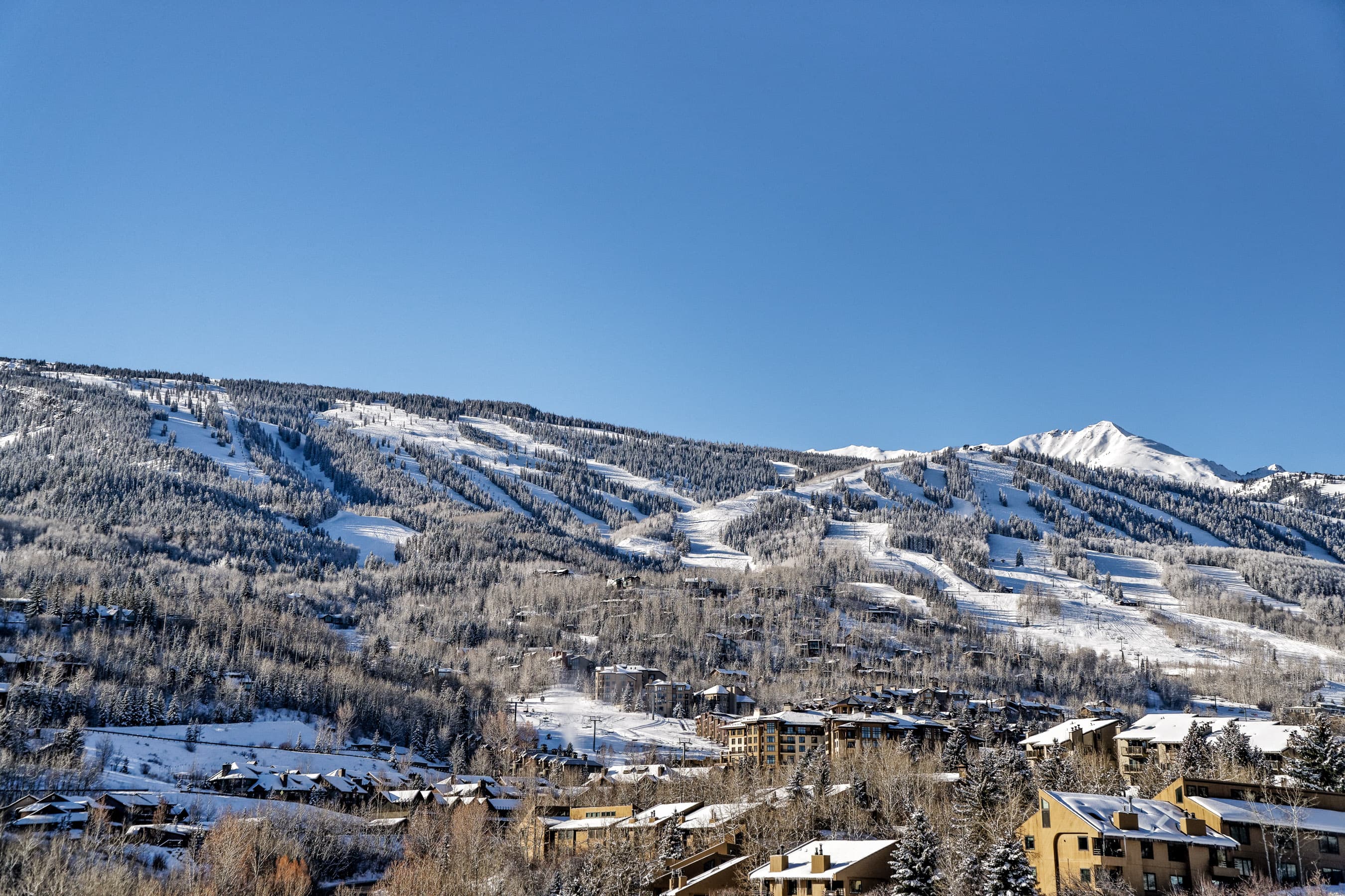10 Martingale Lane, Snowmass Village, CO 81615 - Photo 8