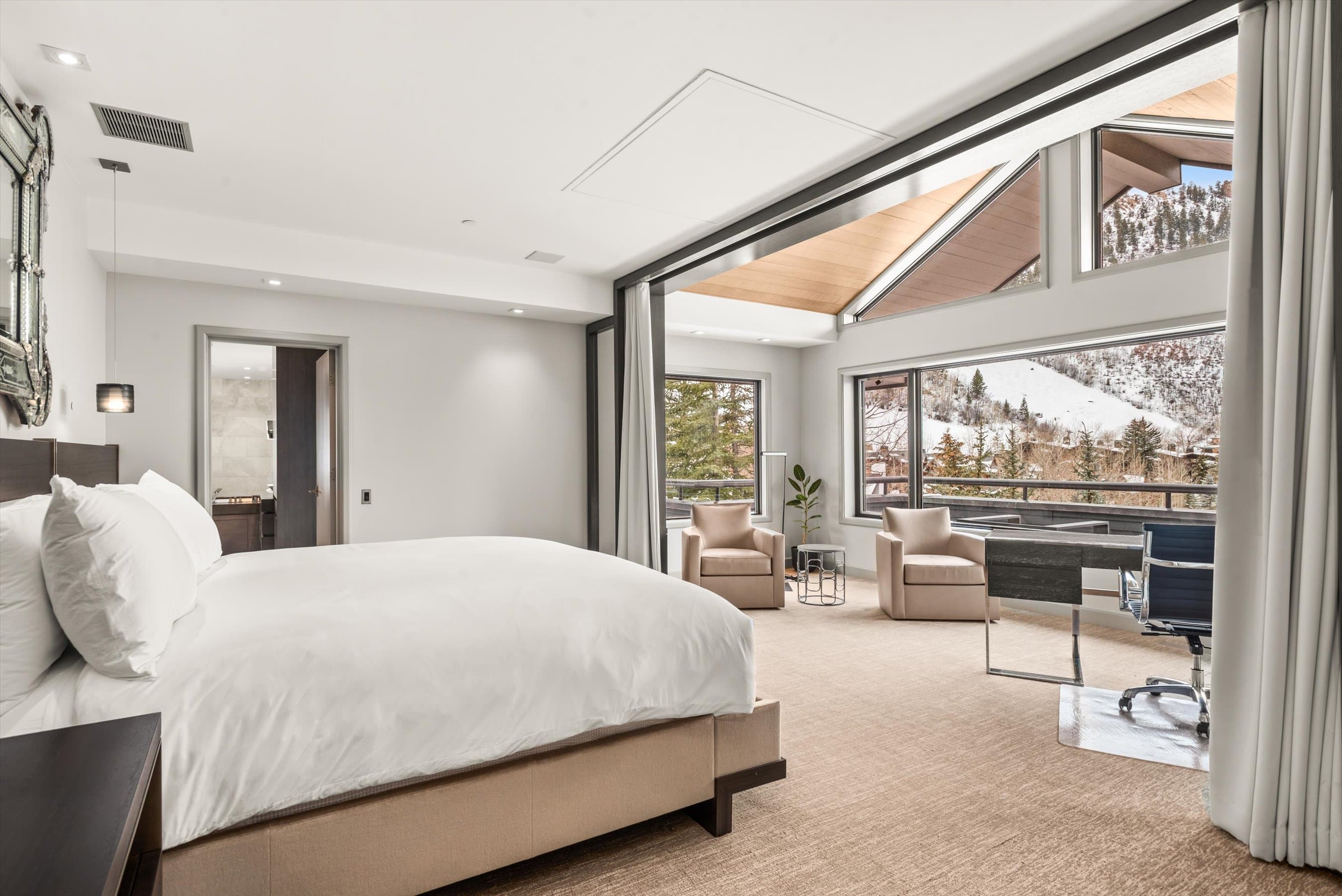 730 S Galena Street, Aspen, CO 81611 - Photo 42