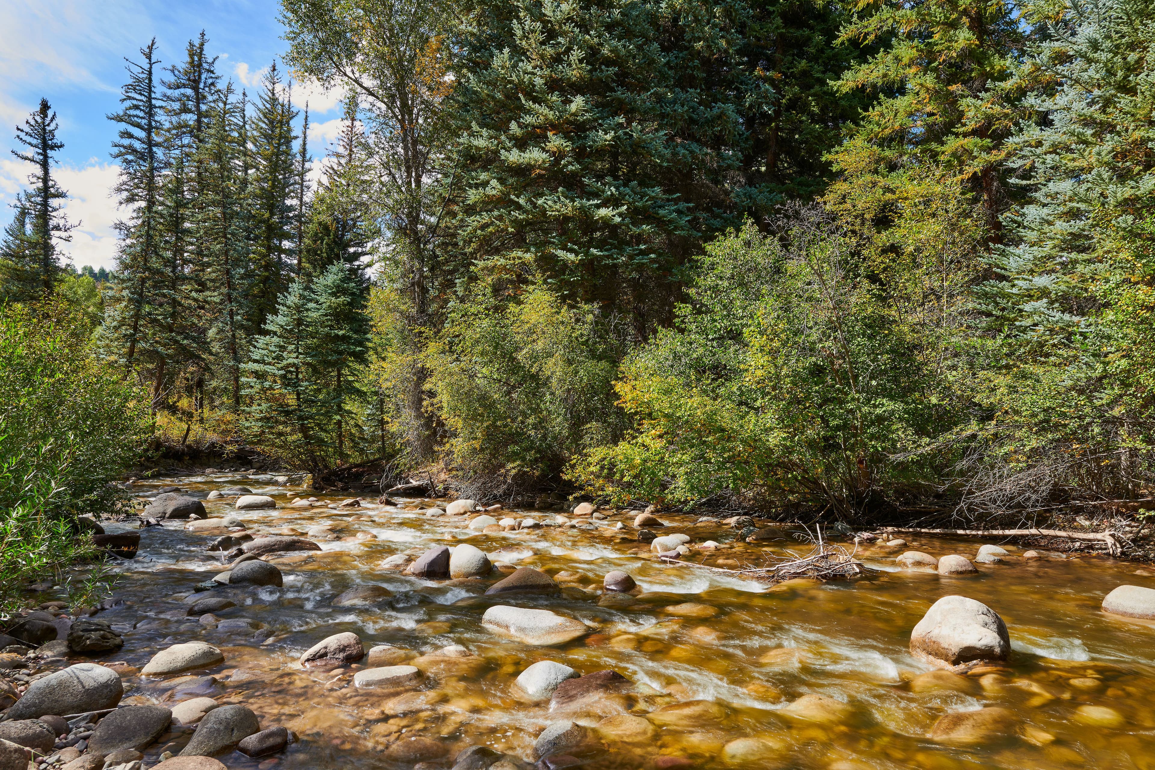 1900&1470 Snowmass Creek Road, Snowmass, CO 81654 - Photo 25