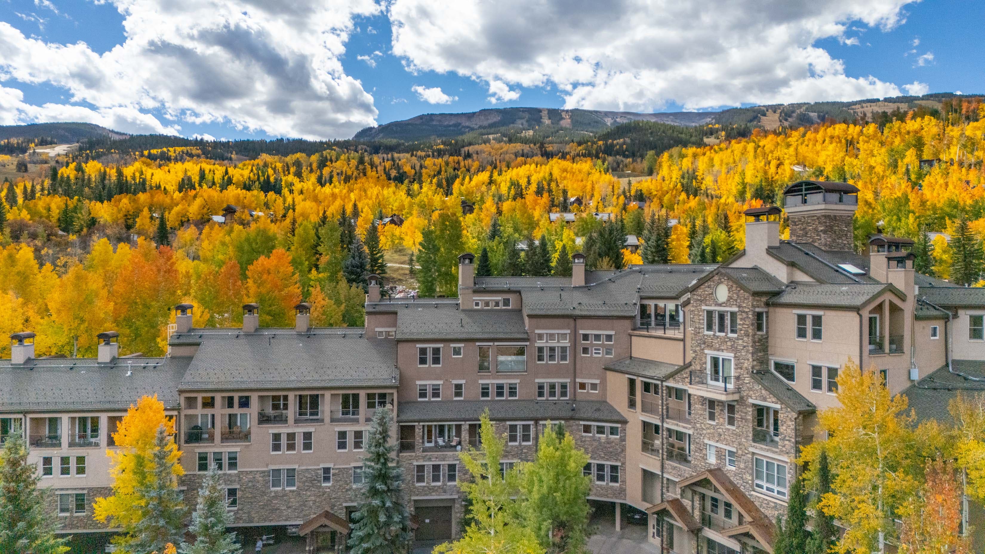 425 Wood Road 10, Snowmass Village, CO 81615 - Photo 22