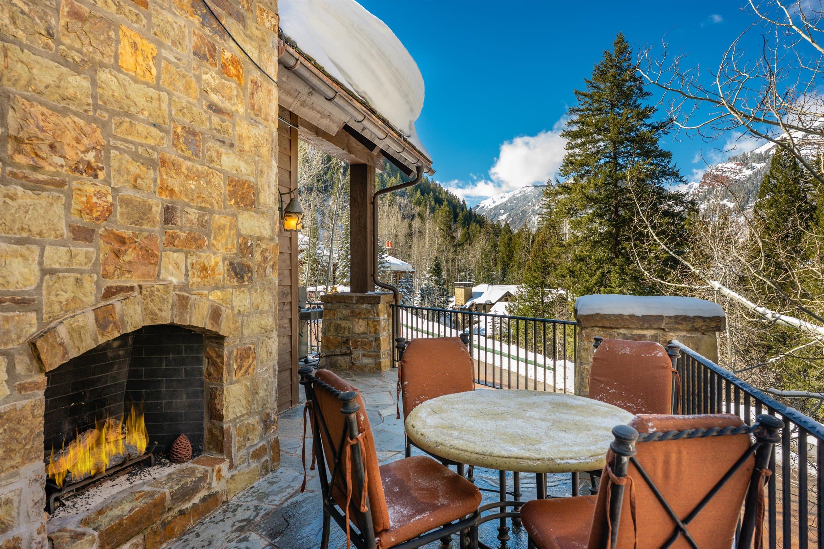 180 Exhibition Lane, Aspen, CO 81611 - Photo 16
