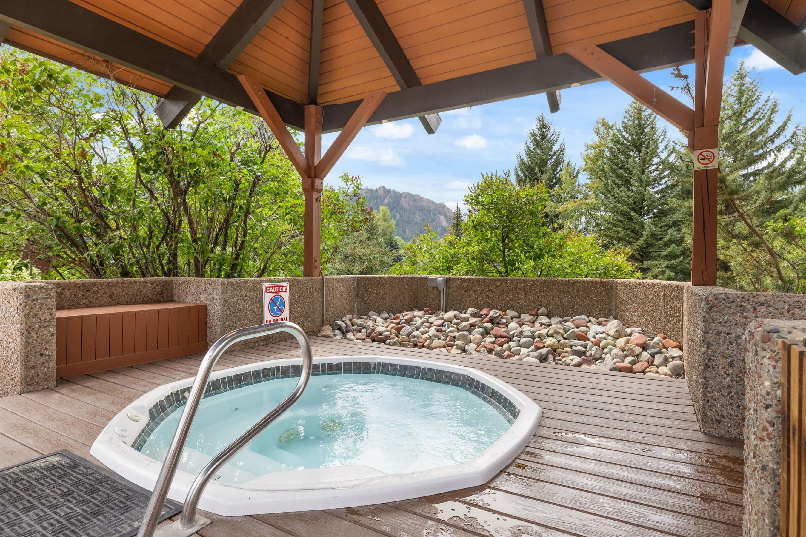950 Vine Street, Aspen, CO 81611 - Photo 21