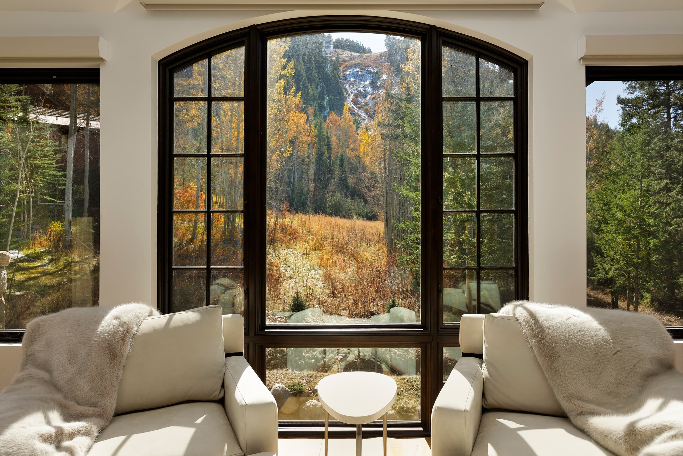 235 Exhibition Lane, Aspen, CO 81611 - Photo 11