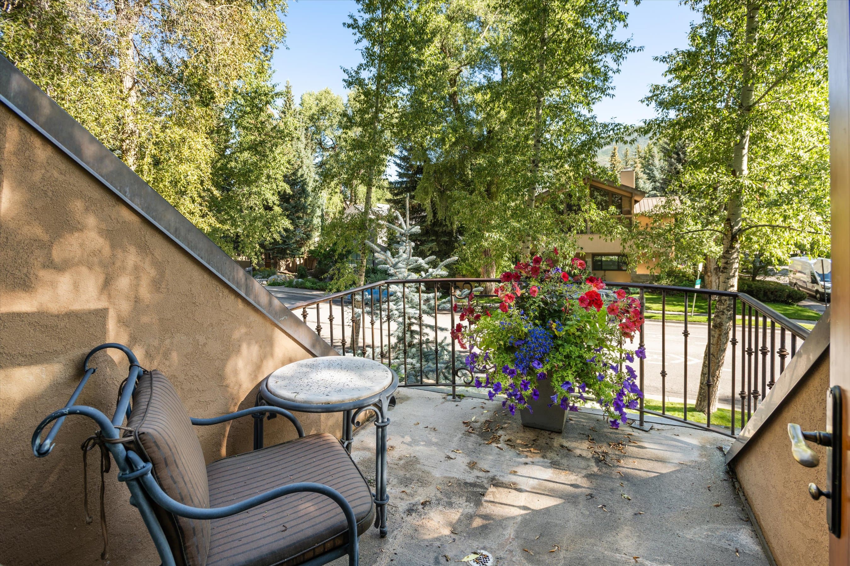 303 W Hopkins Avenue, Aspen, CO 81611 - Photo 11