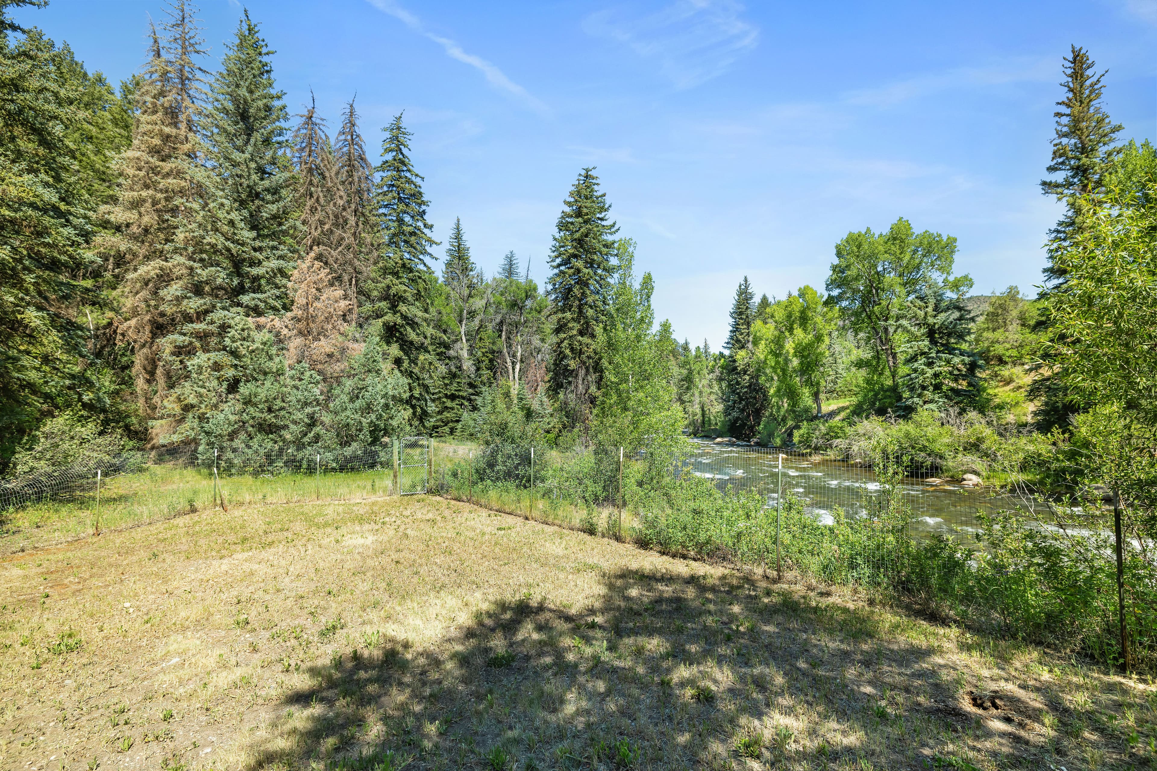 820 Twining Flats Road, Aspen, CO 81611 - Photo 3