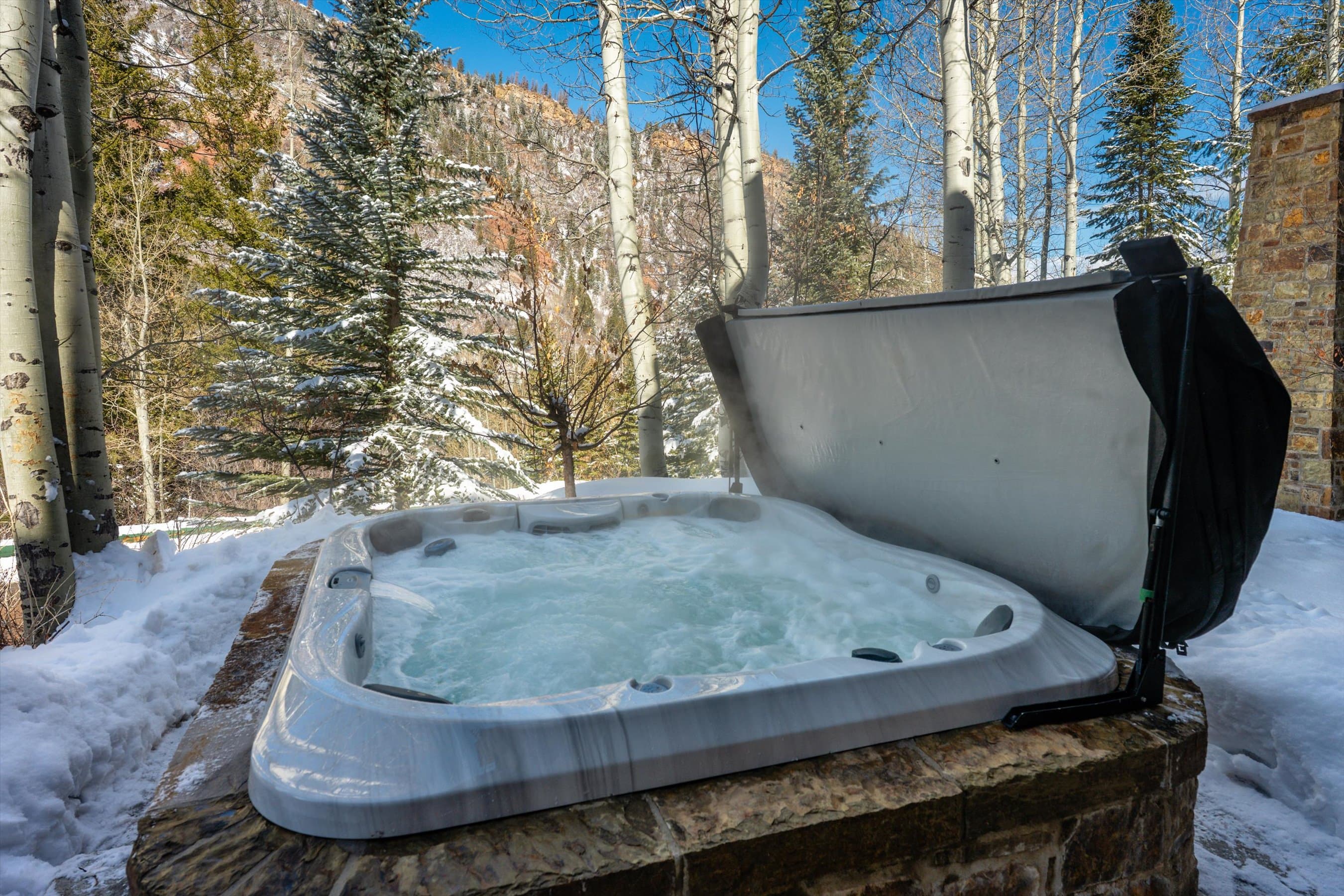 180 Exhibition Lane, Aspen, CO 81611 - Photo 30