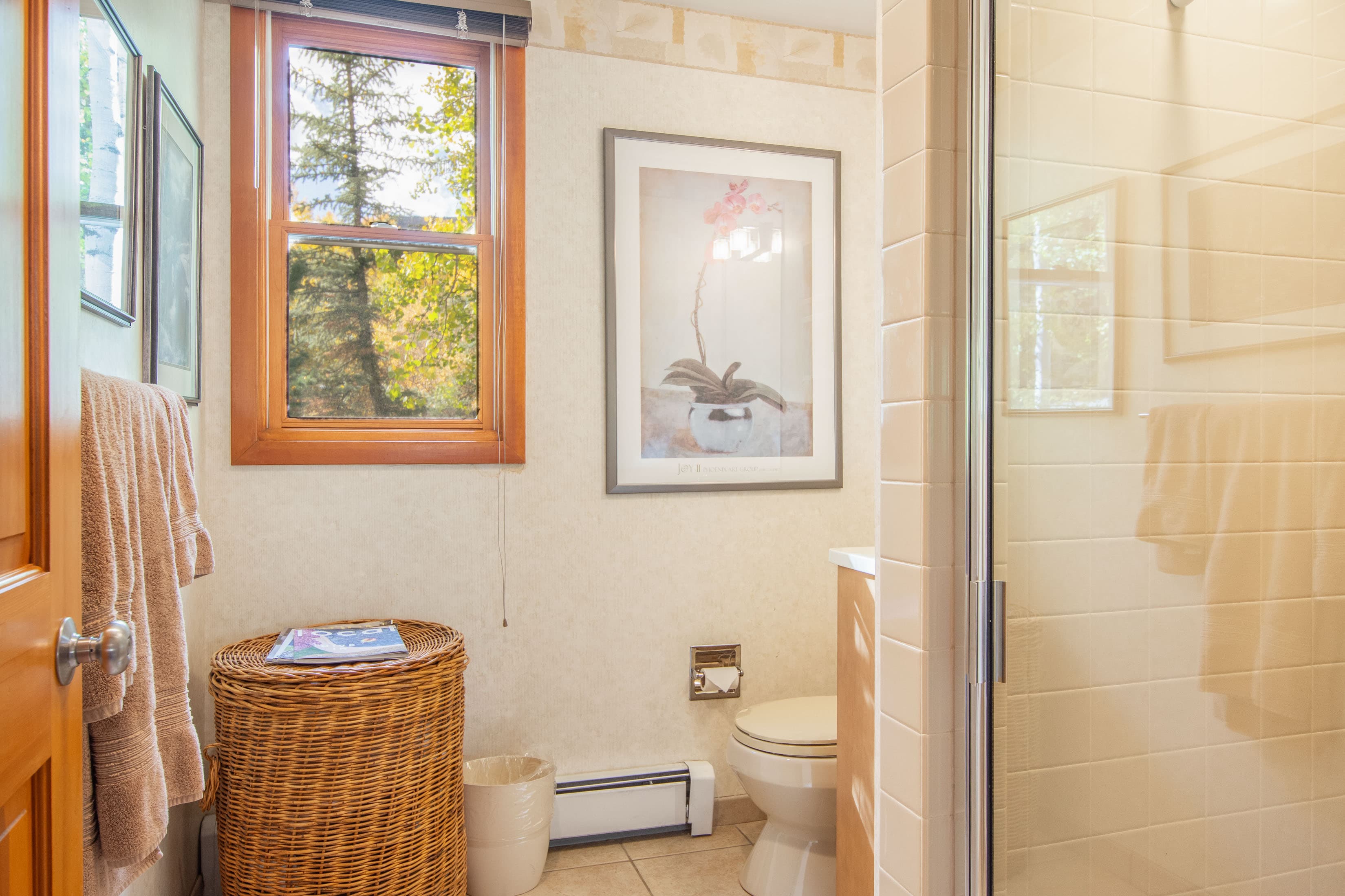 425 Wood Road 10, Snowmass Village, CO 81615 - Photo 20