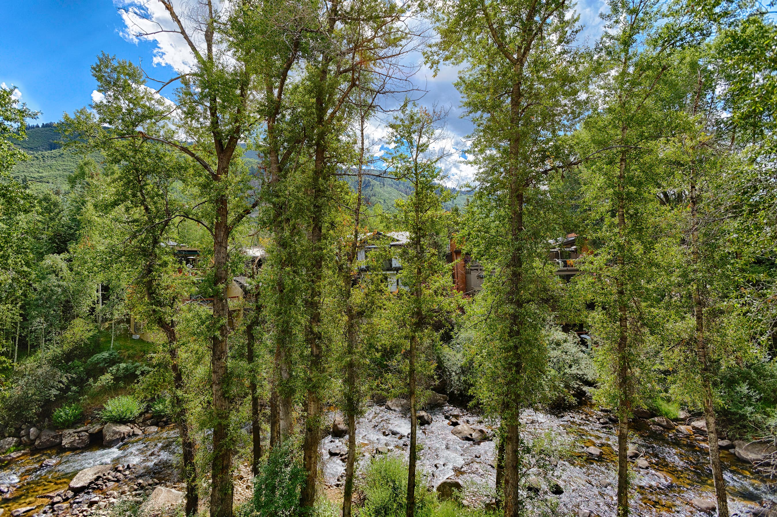 1028 E Hopkins Avenue Unit #24, Aspen, CO 81611 - Photo 7