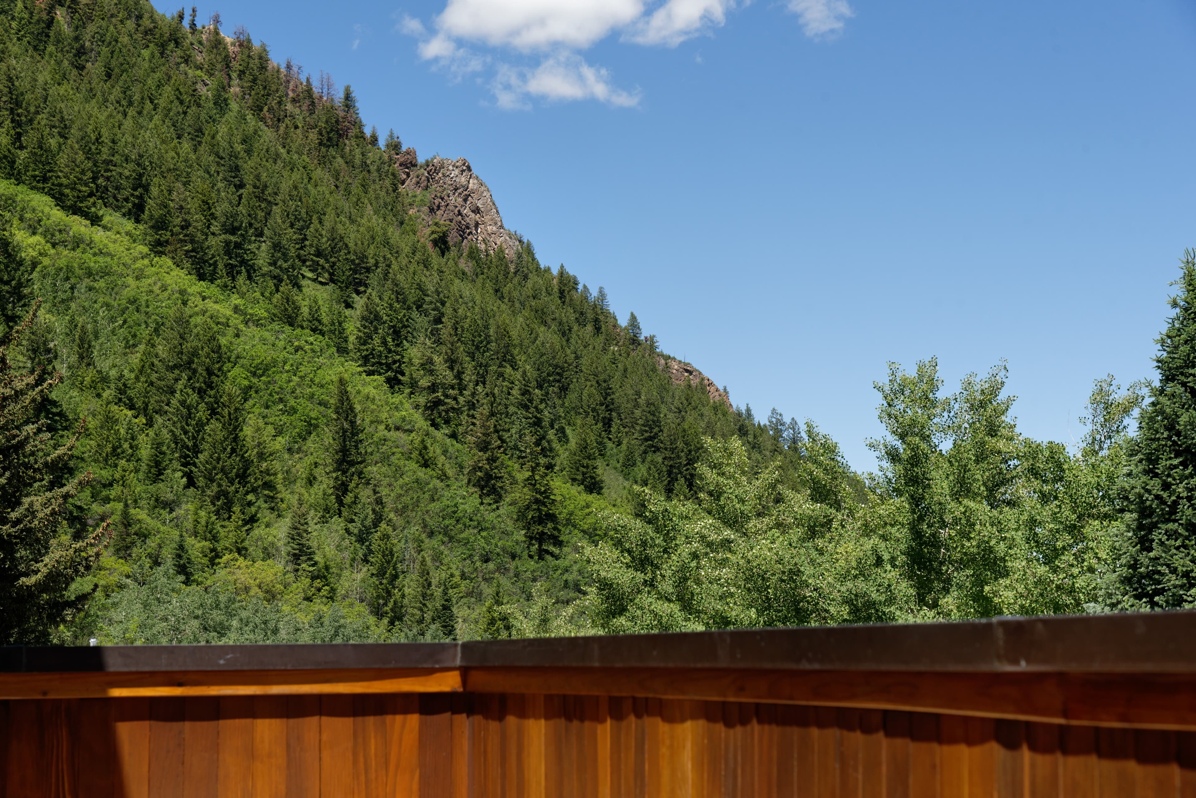 237 Gilbert Street, Aspen, CO 81611 - Photo 4