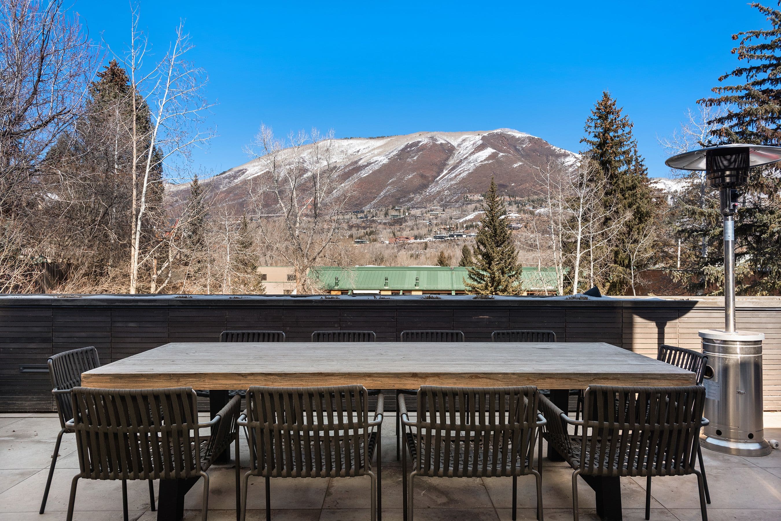 322 E Bleeker Street, Aspen, CO 81611 - Photo 16