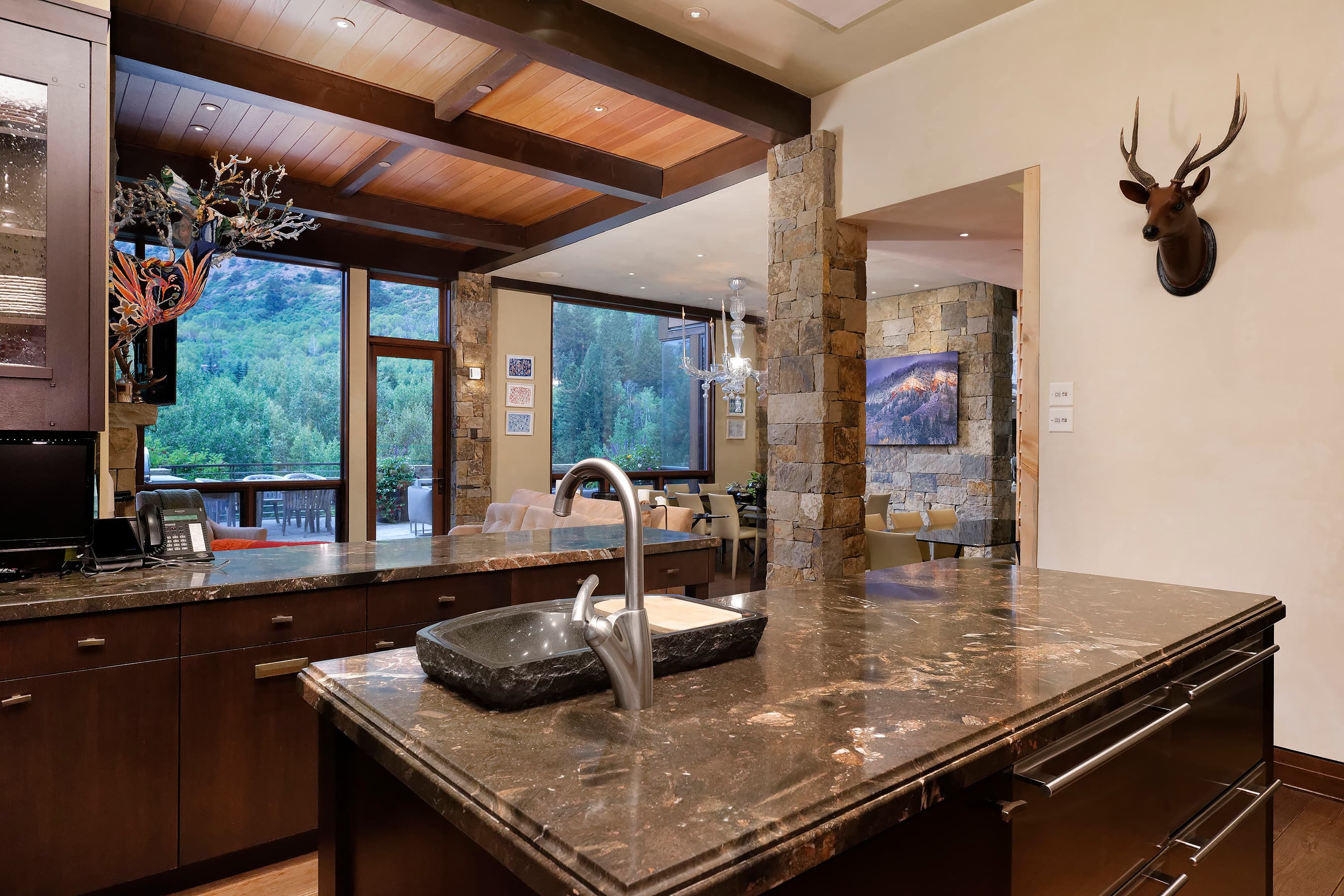 105 Exhibition Lane, Aspen, CO 81611 - Photo 29