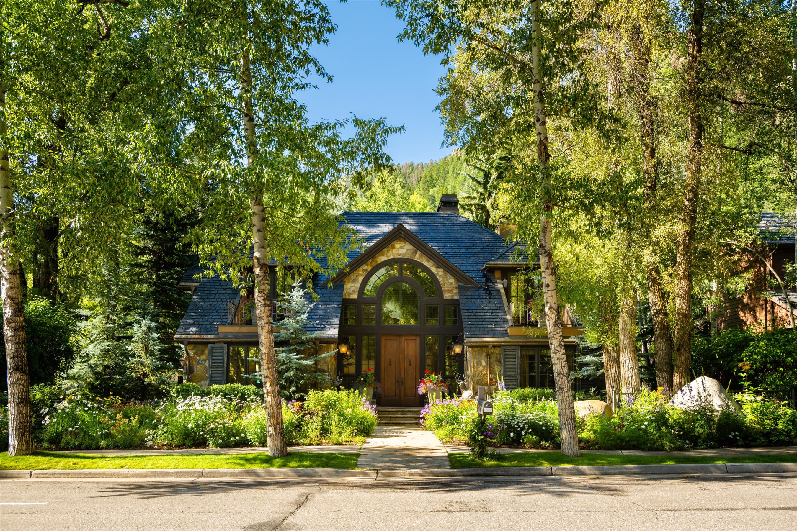 303 W Hopkins Avenue, Aspen, CO 81611 - Photo 29