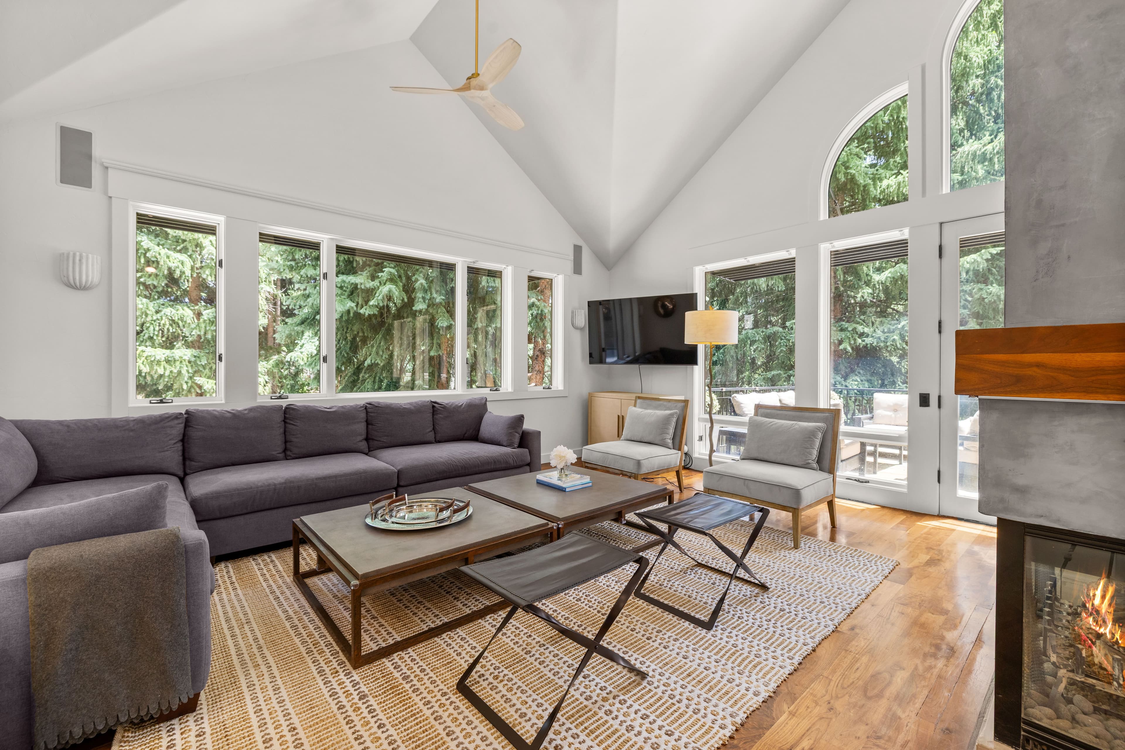777 Castle Creek Drive, Aspen, CO 81611 - Photo 16