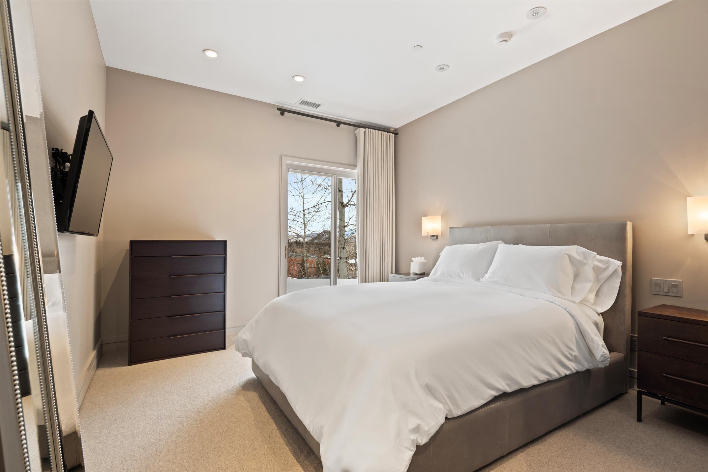 730 S Galena Street, Aspen, CO 81611 - Photo 29