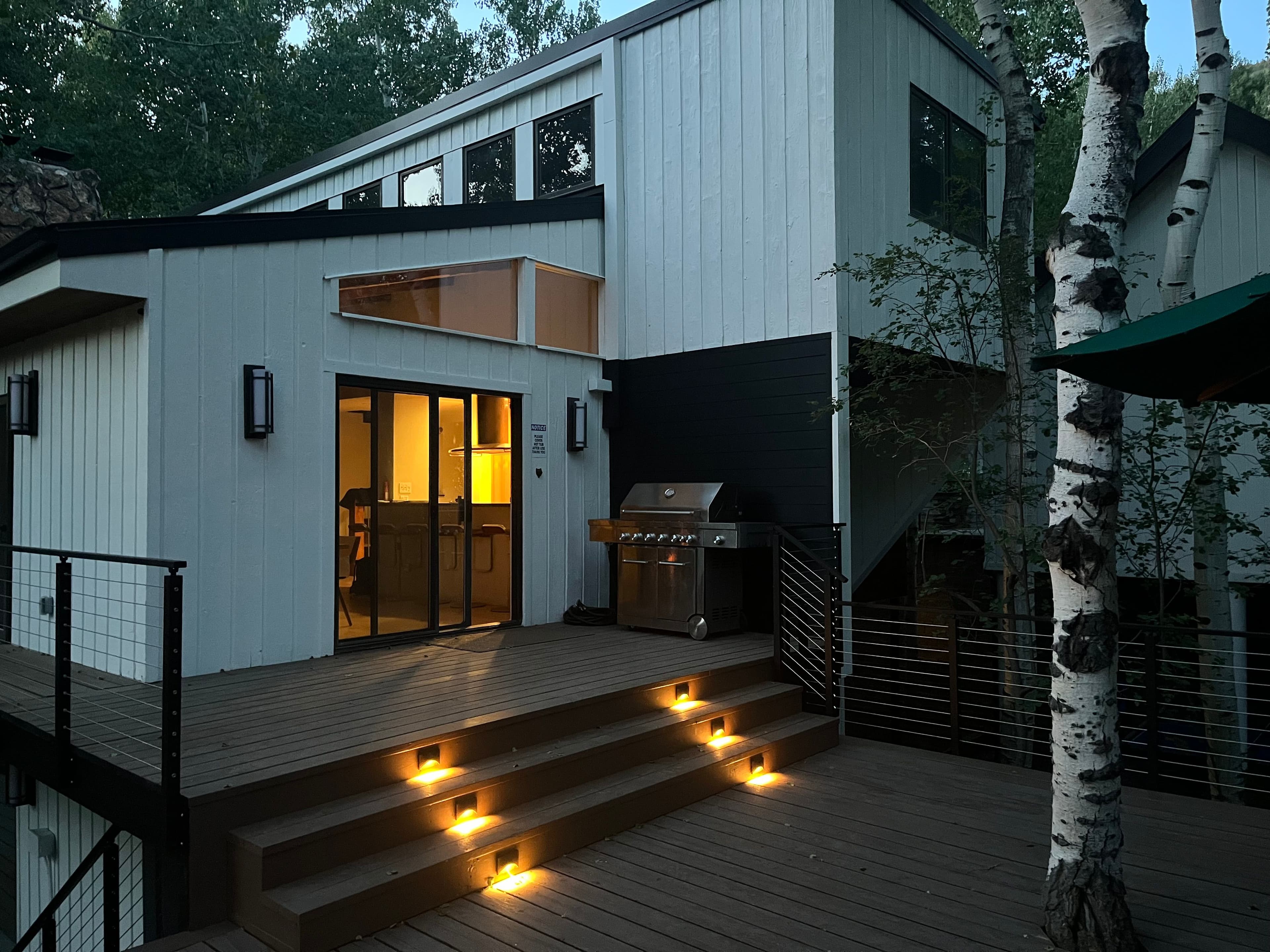 262 Eastwood Drive, Aspen, CO 81611 - Photo 16