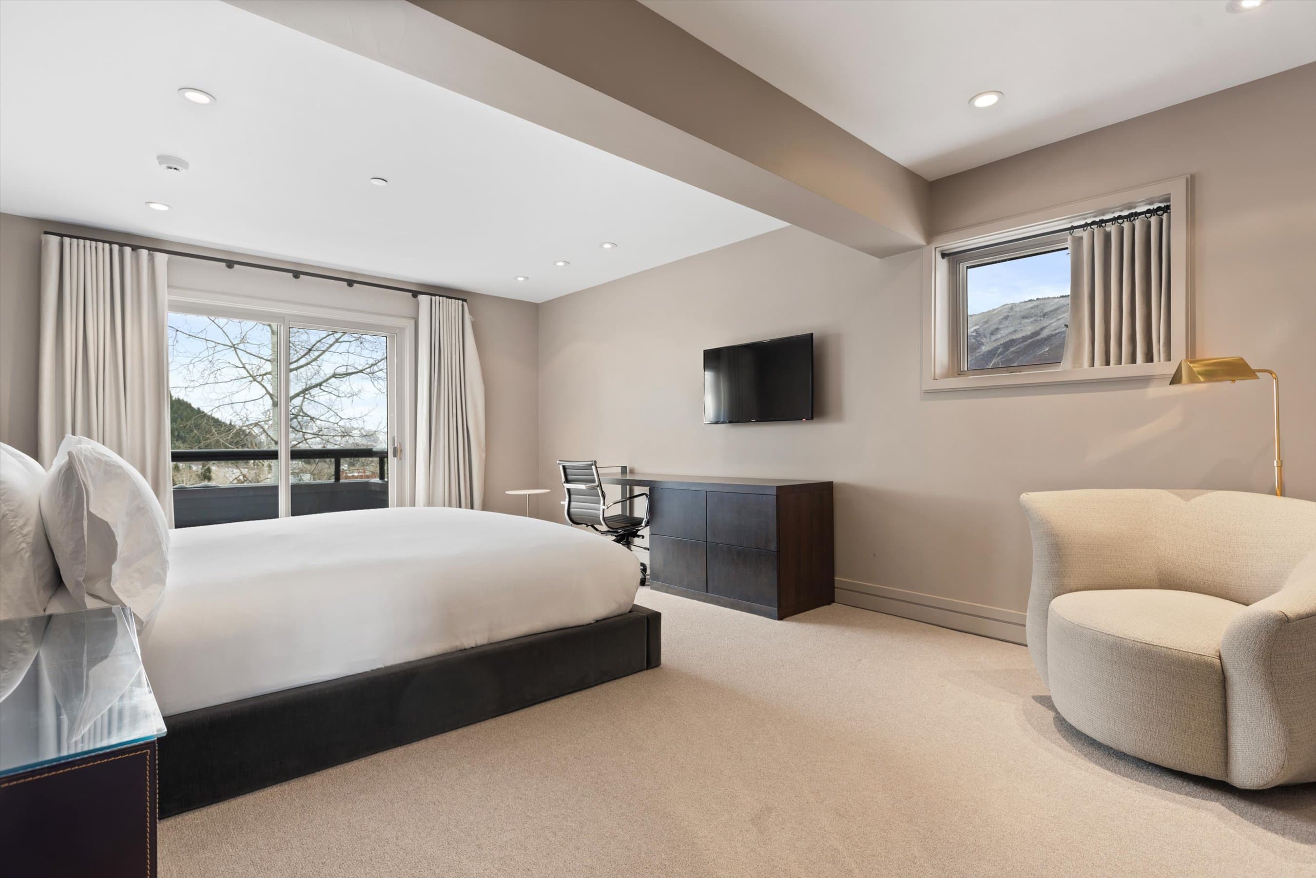 730 S Galena Street, Aspen, CO 81611 - Photo 17