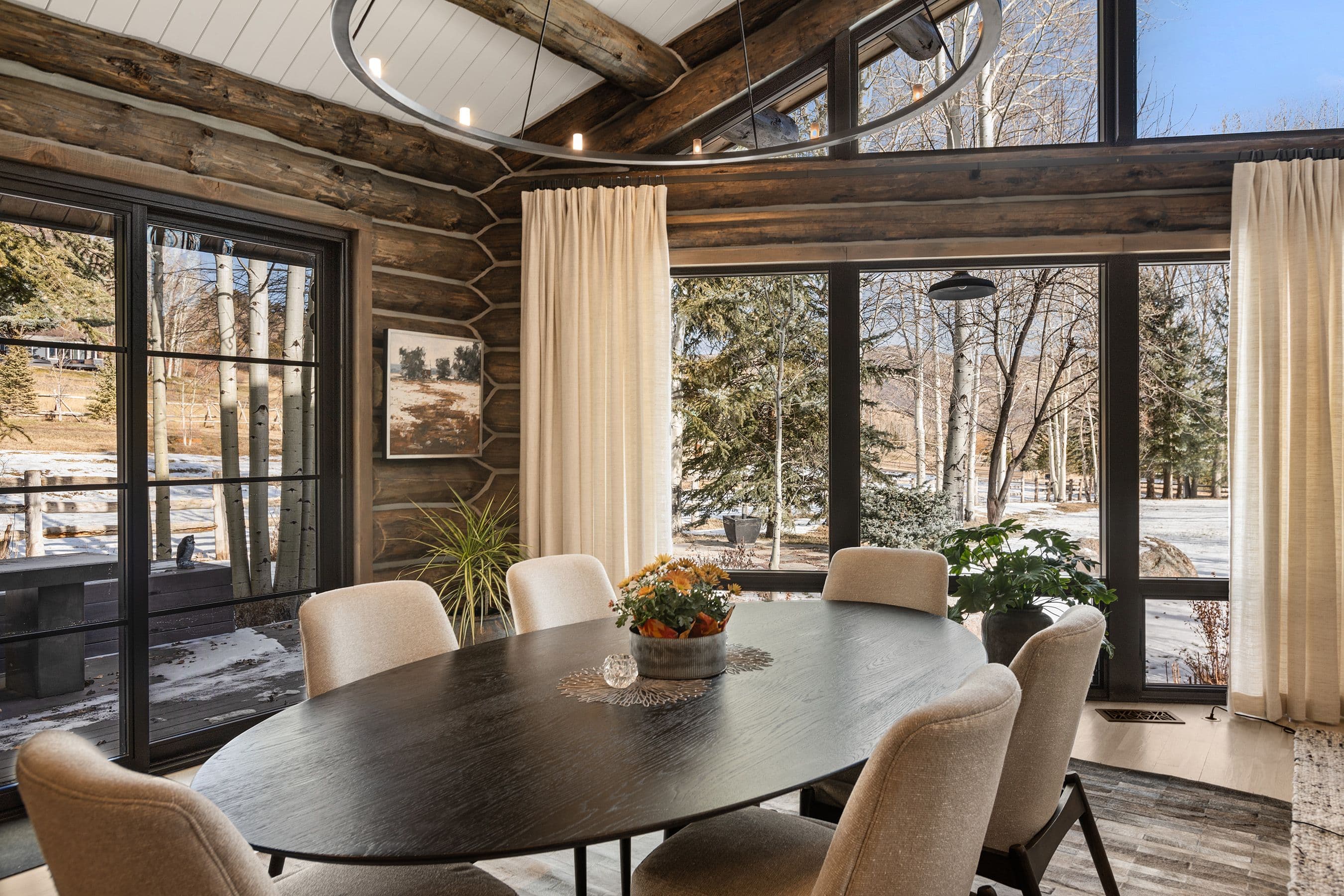 103 Alexander Avenue, Snowmass, CO 81654 - Photo 11