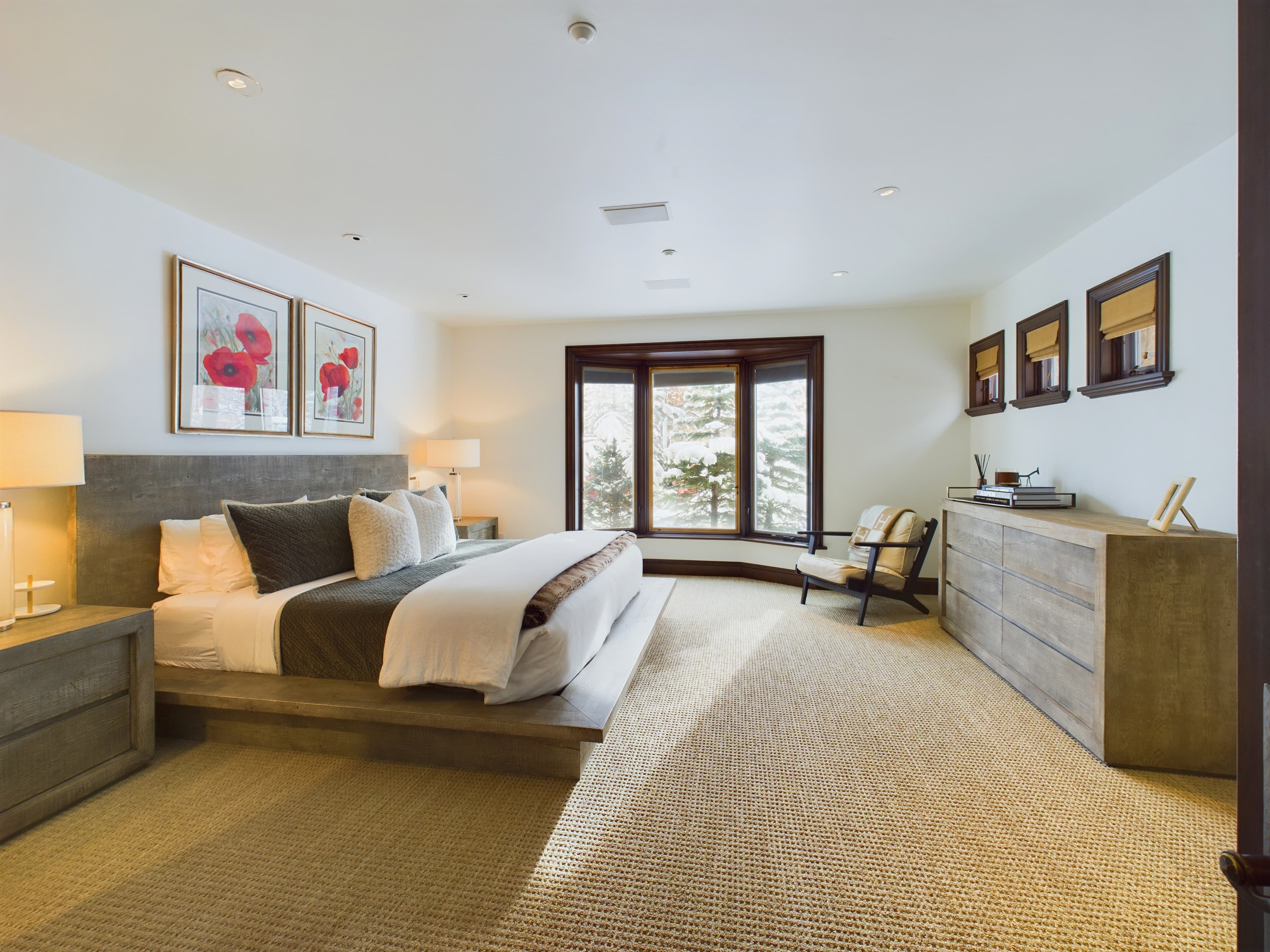 910 E Cooper Avenue, Aspen, CO 81611 - Photo 17