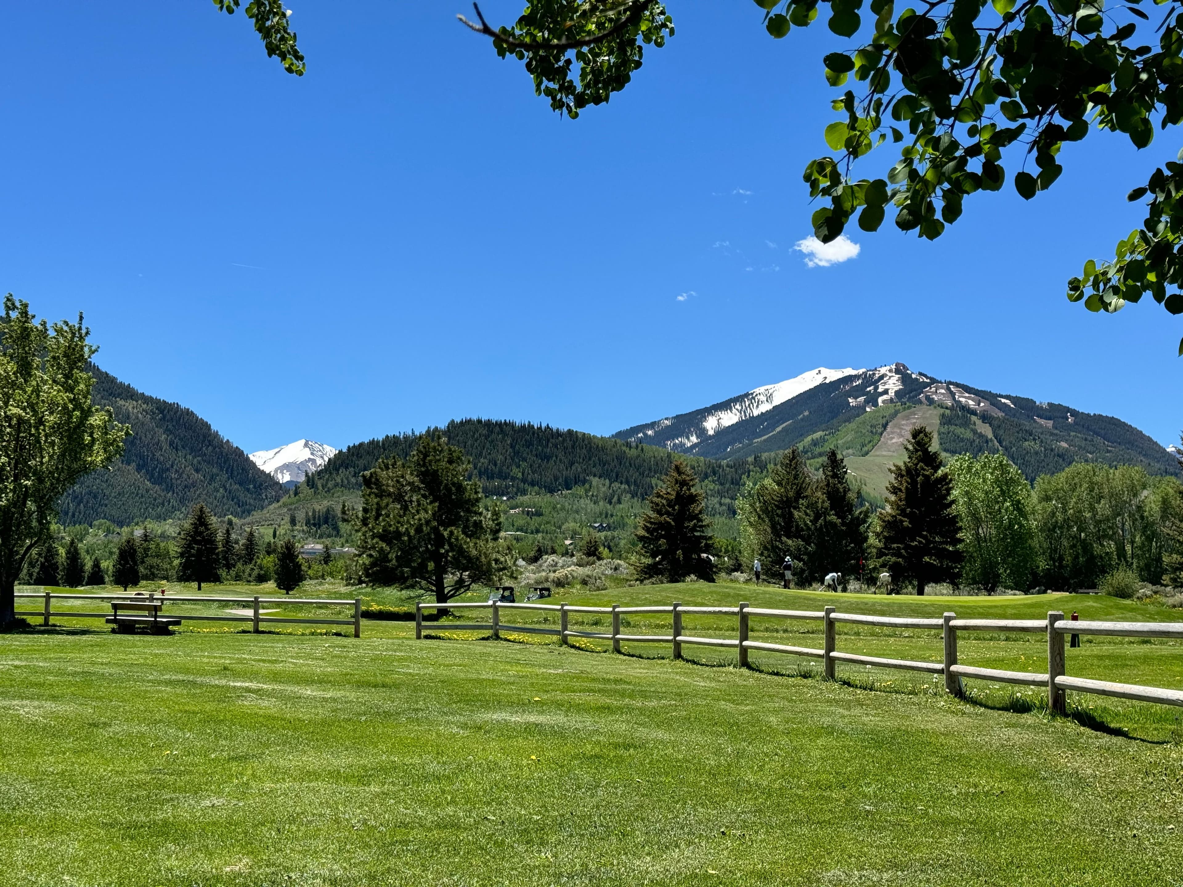1220 Alta Vista Drive, Aspen, CO 81611 - Photo 19