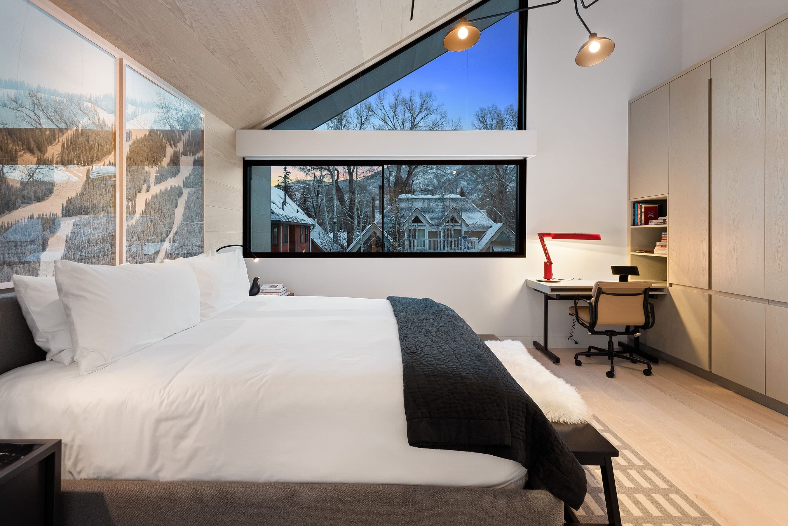 630 W Hopkins Avenue, Aspen, CO 81611 - Photo 3