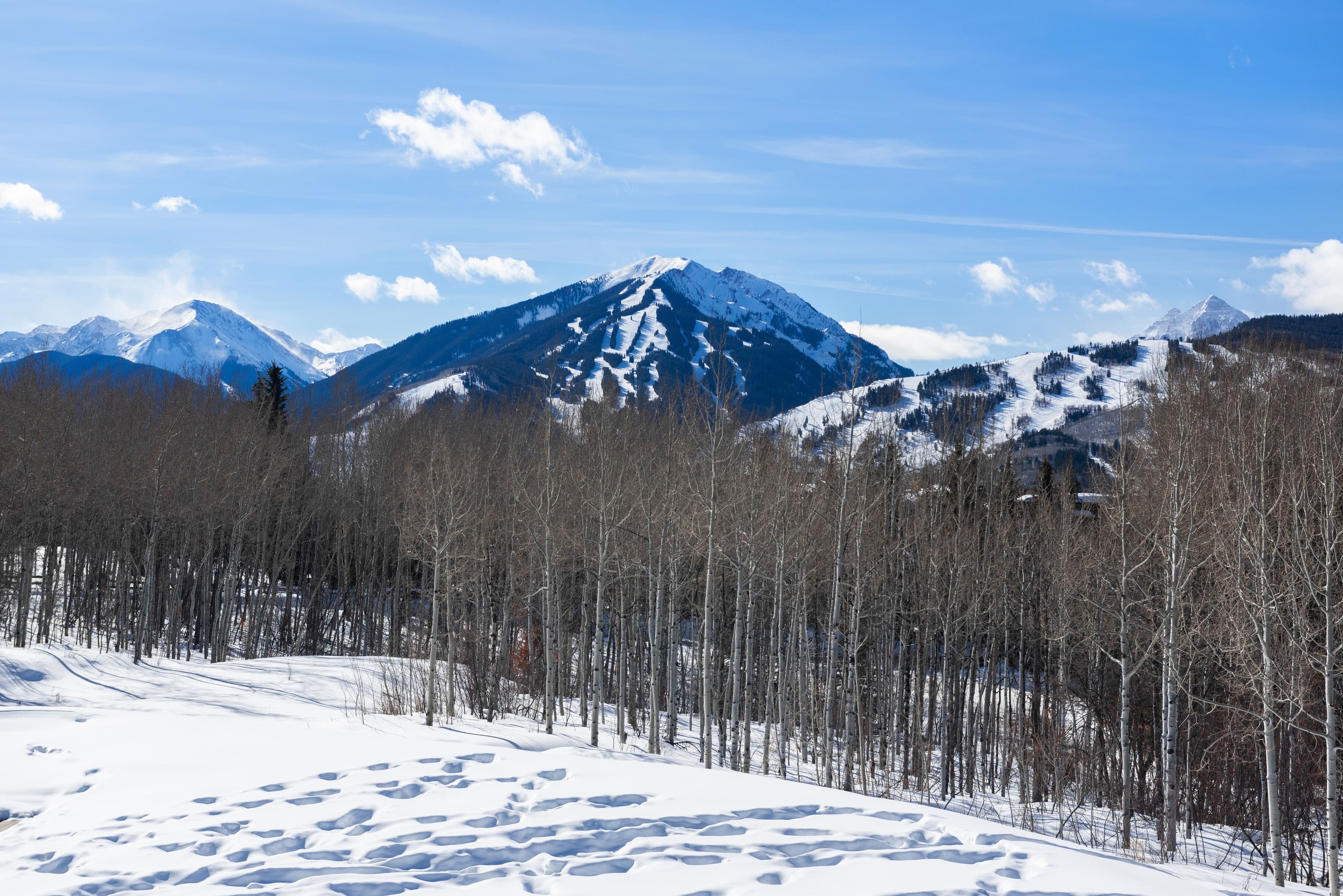 975 S Starwood, Aspen, CO 81611 - Photo 51