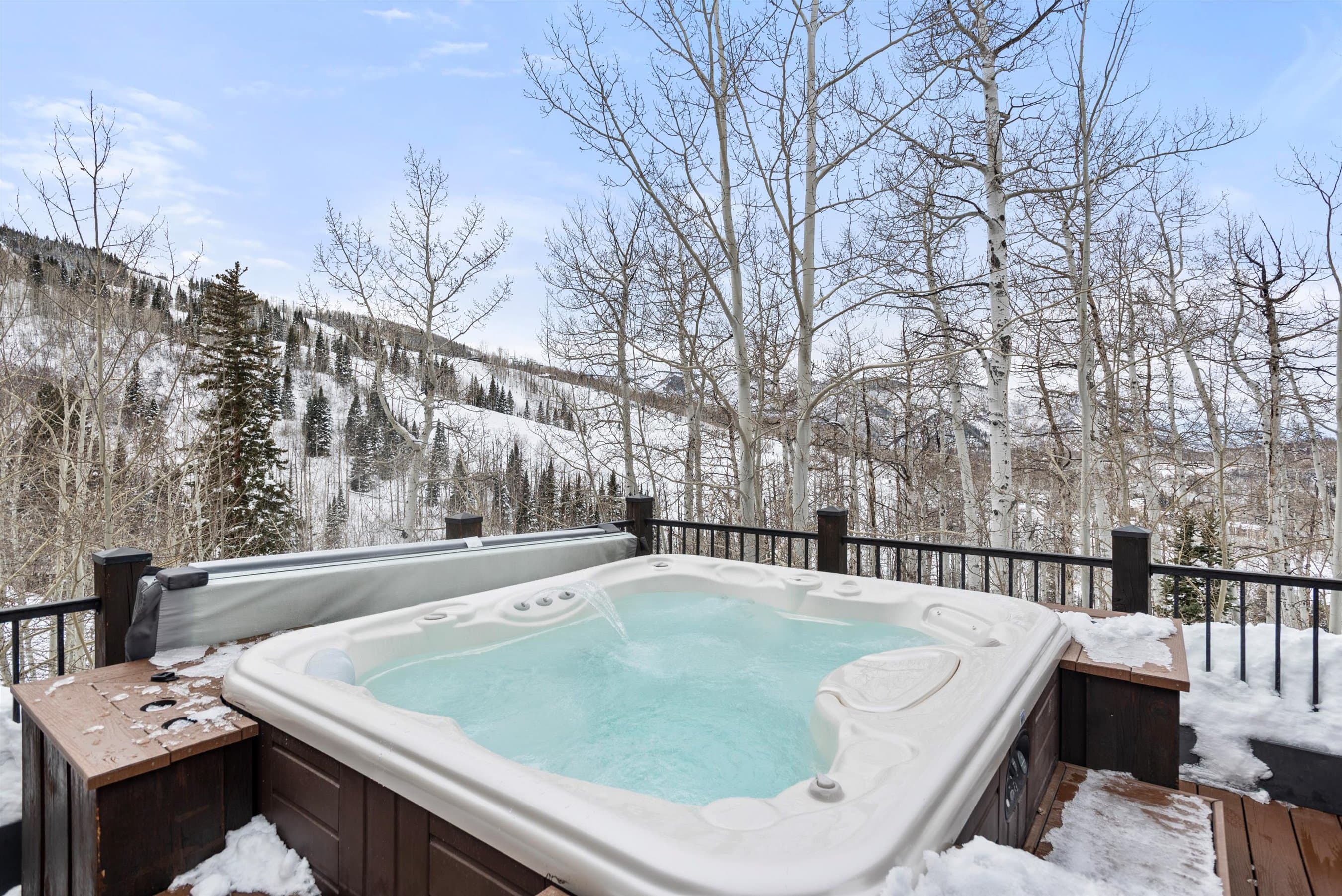 1777 Wood Road, Snowmass Village, CO 81615 - Photo 18