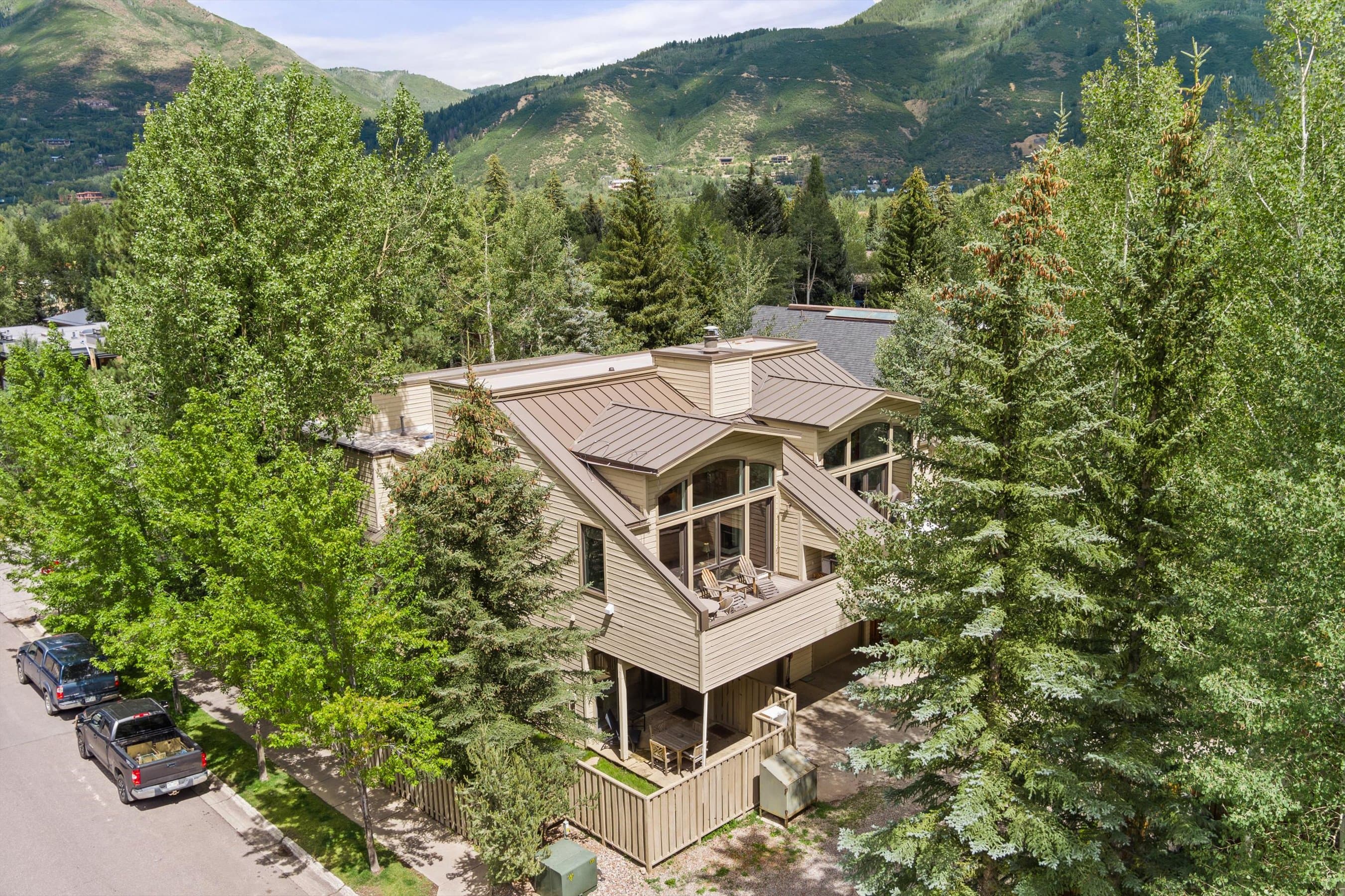 123 W Hyman Avenue Unit A, Aspen, CO 81611 - Photo 3