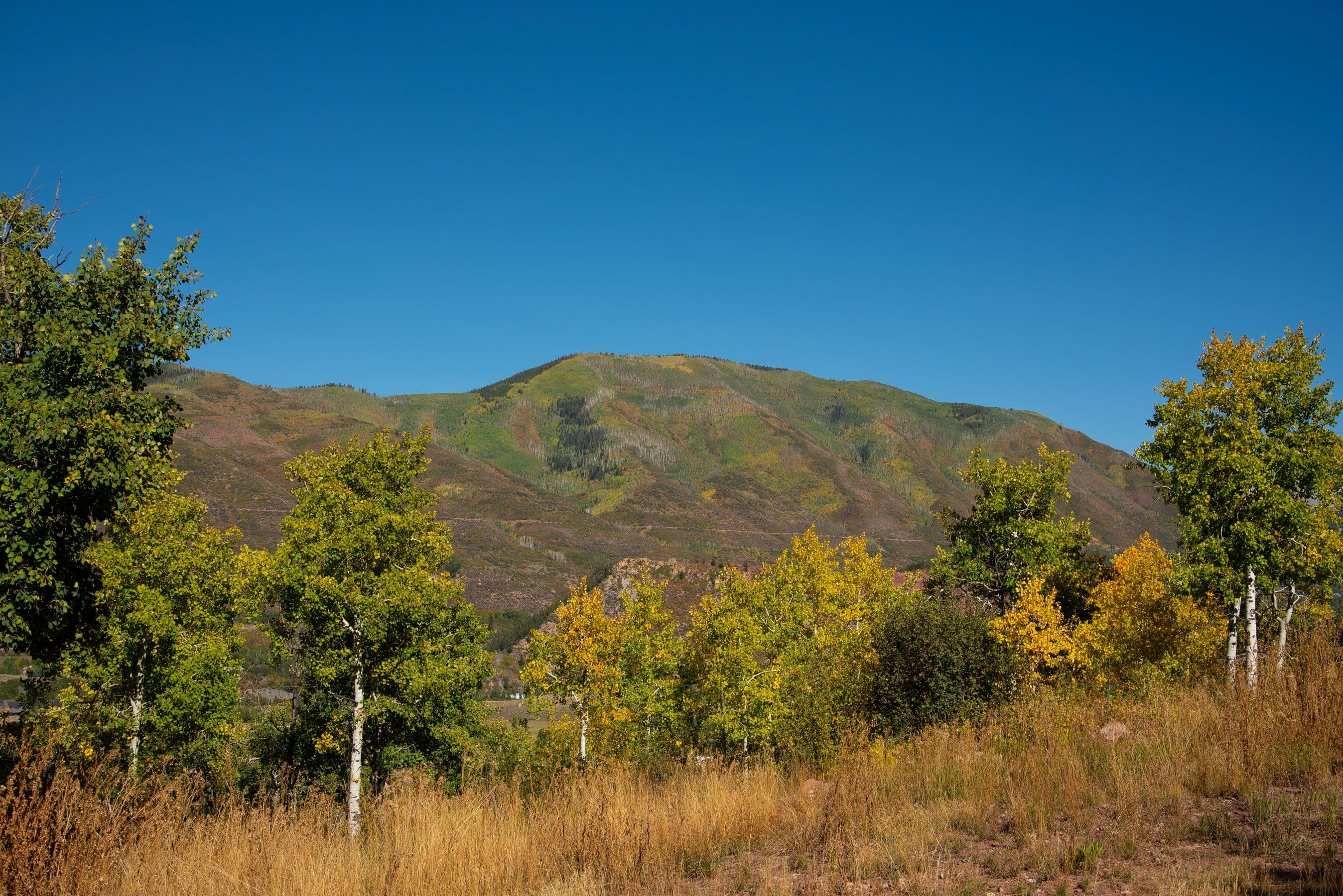 240 Buttermilk Lane, Aspen, CO 81611 - Photo 9
