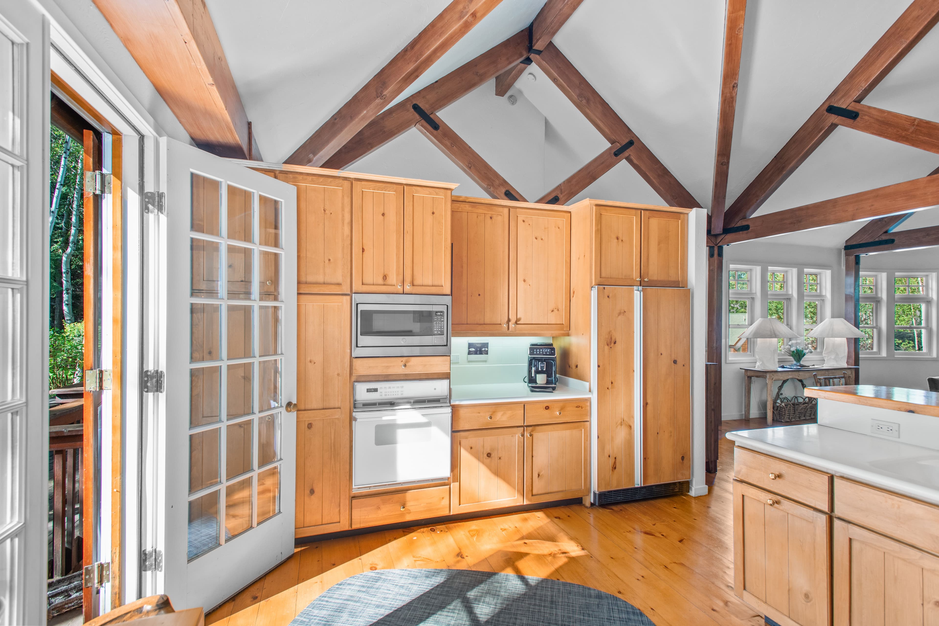 66 Alpine Court, Aspen, CO 81611 - Photo 8