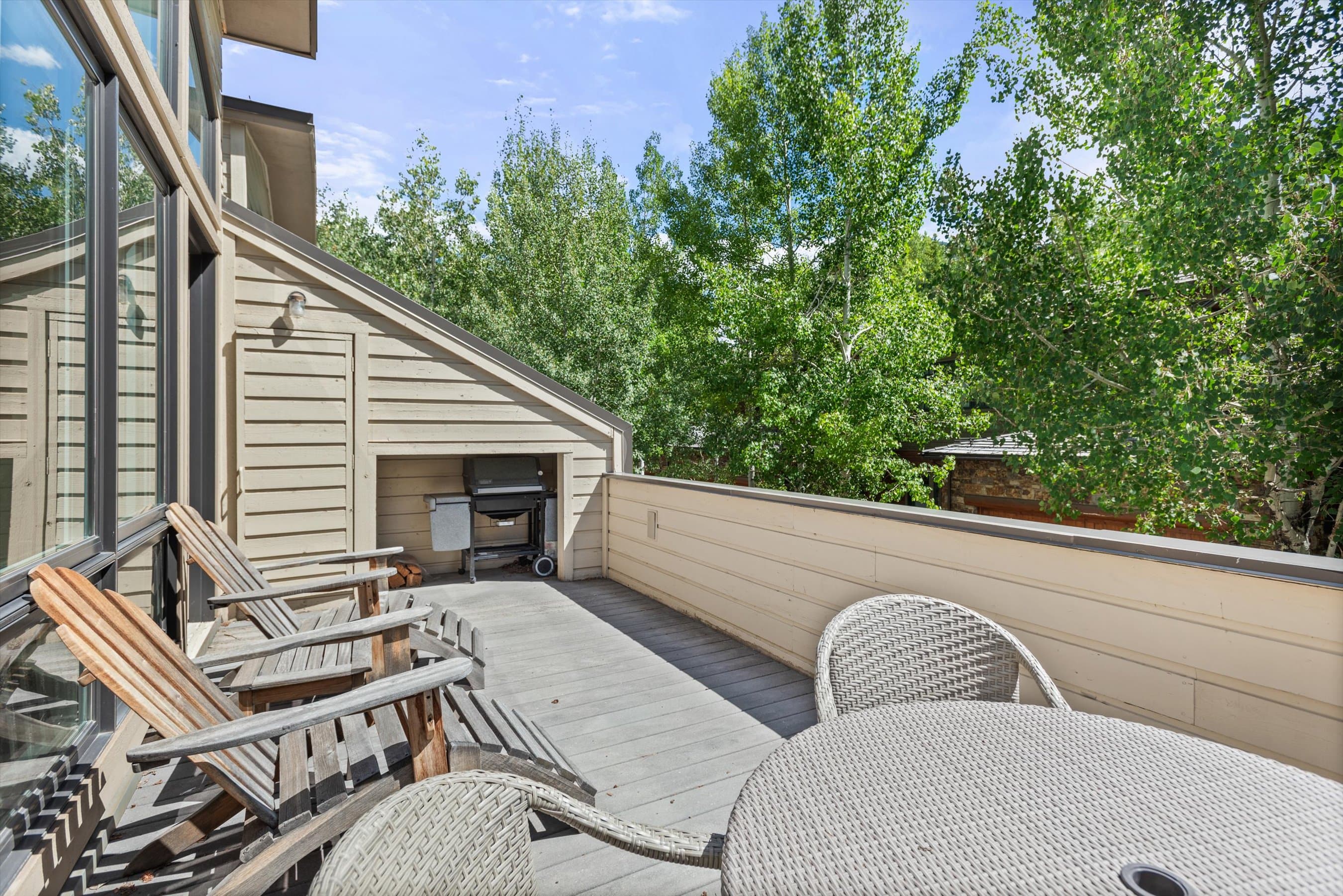 123 W Hyman Avenue Unit A, Aspen, CO 81611 - Photo 26