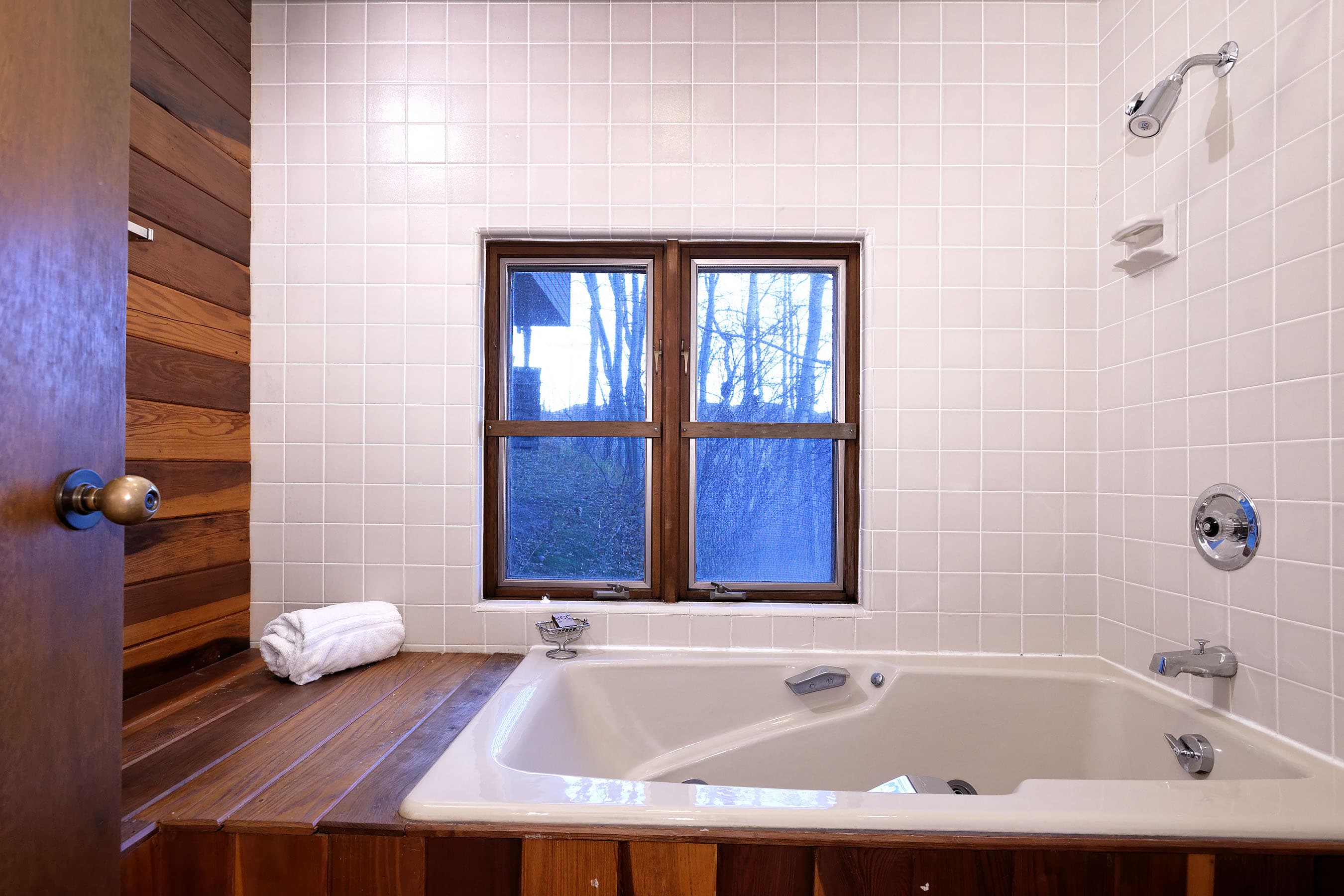 198 Bridge Lane, Snowmass Village, CO 81615 - Photo 36