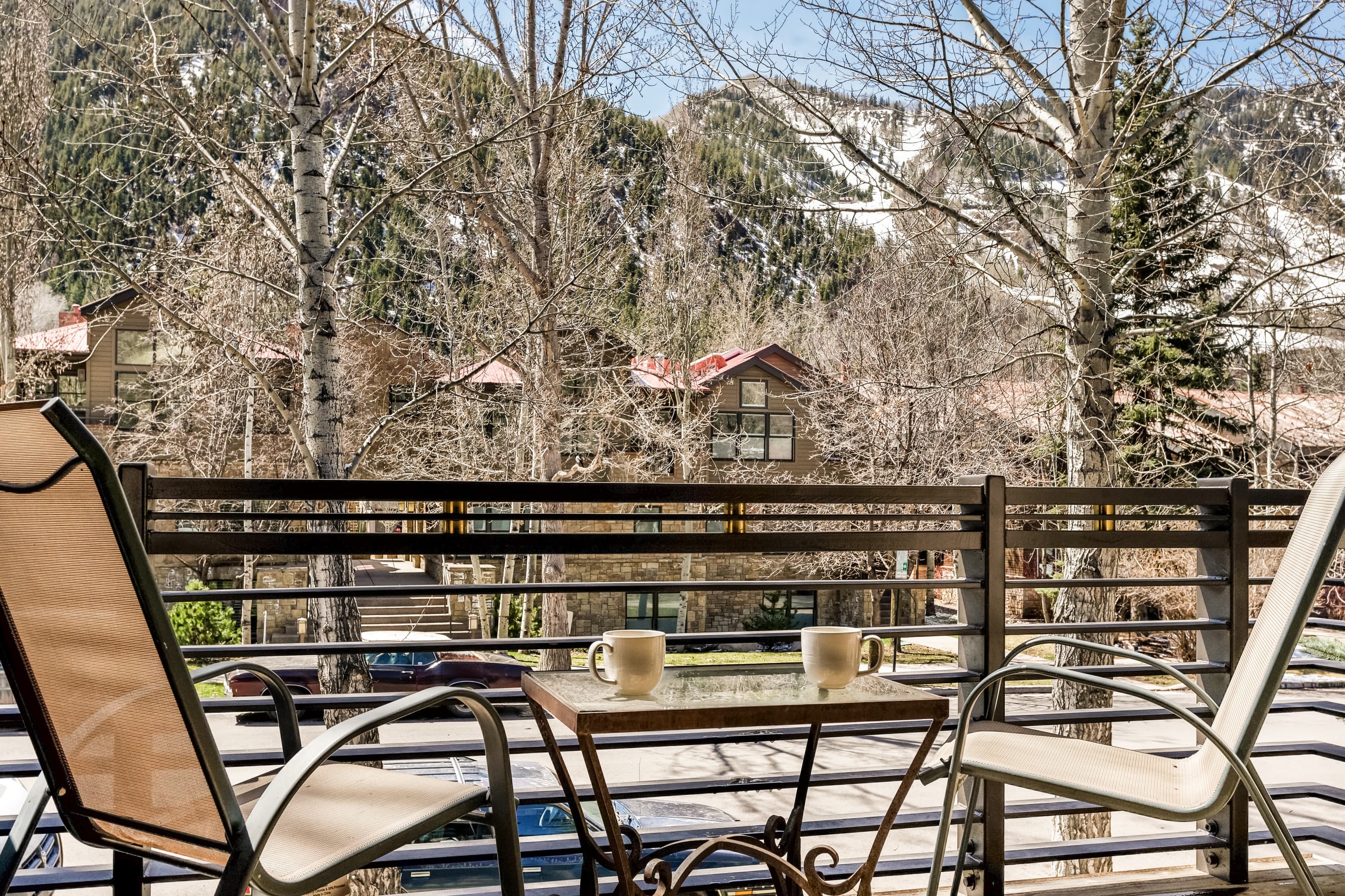 926 E Durant Avenue Unit 3, Aspen, CO 81611 - Photo 12
