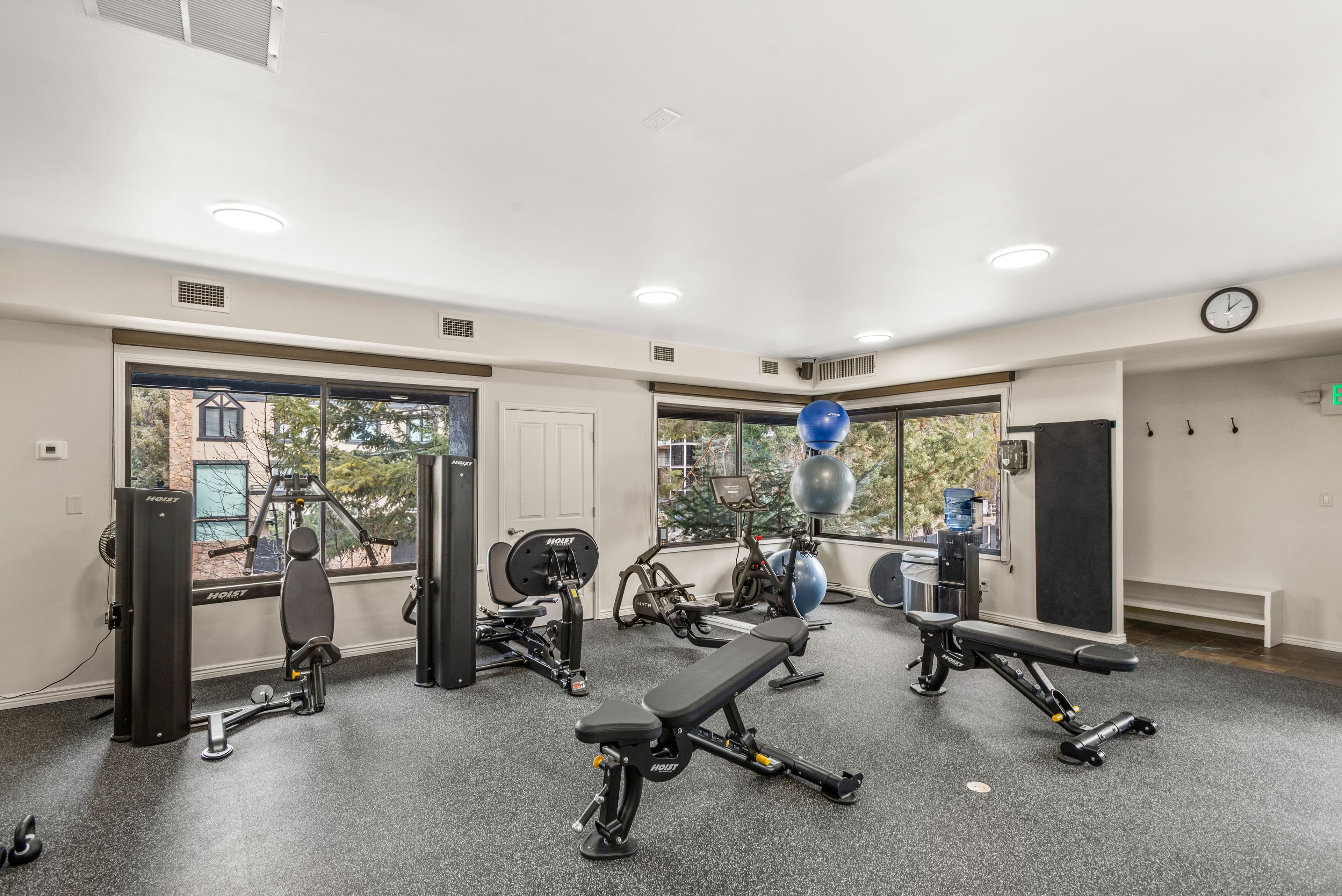1039 E Cooper Avenue 20, Aspen, CO 81611 - Photo 9