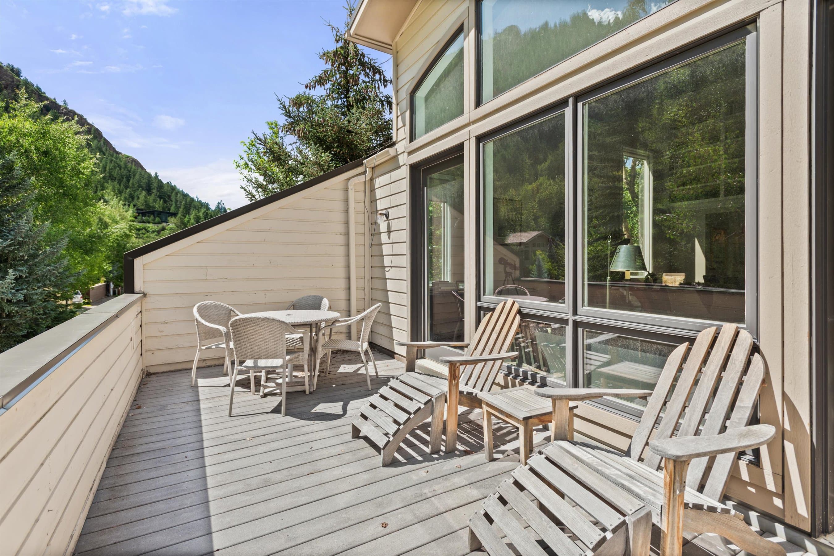 123 W Hyman Avenue Unit A, Aspen, CO 81611 - Photo 11