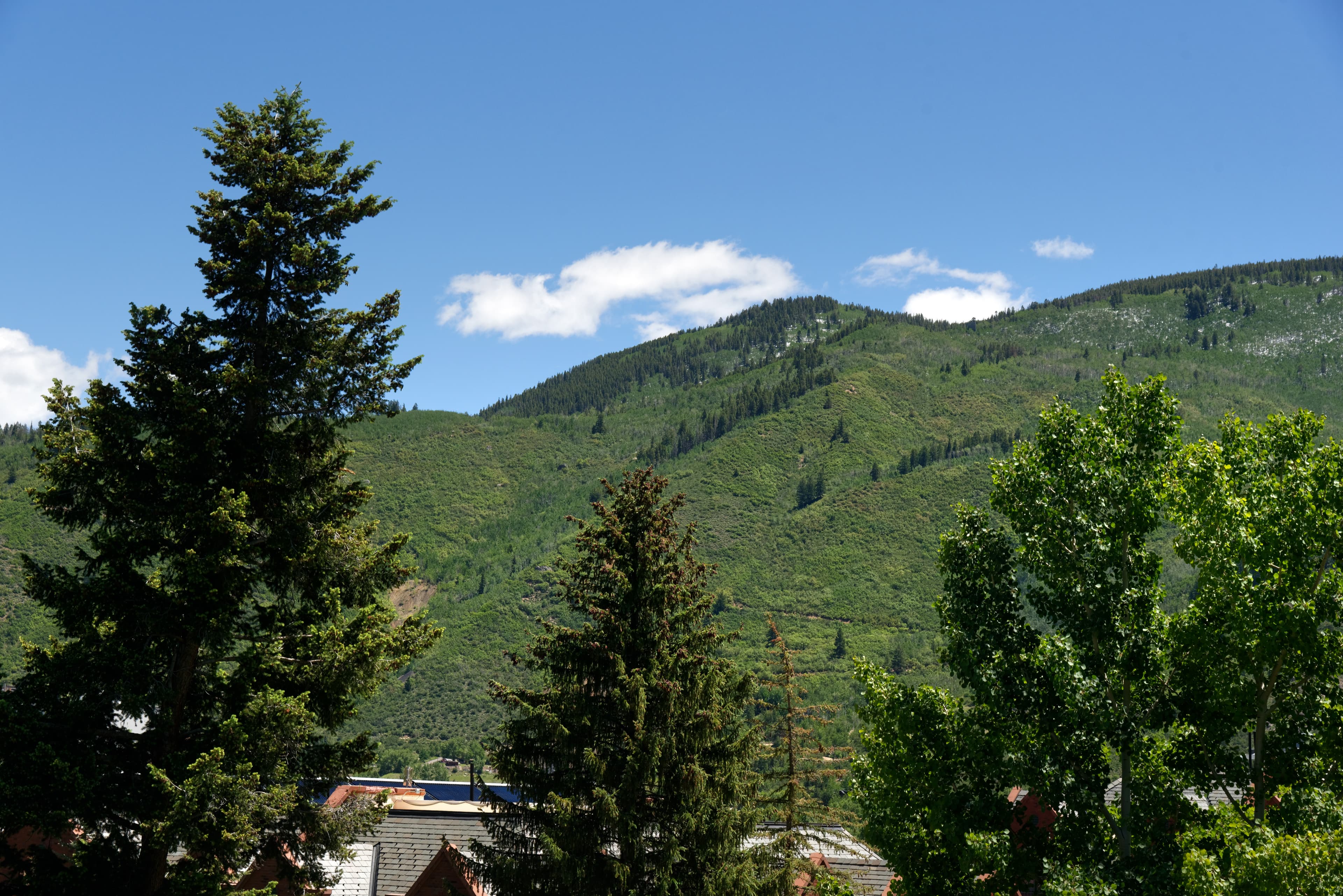 237 Gilbert Street, Aspen, CO 81611 - Photo 11
