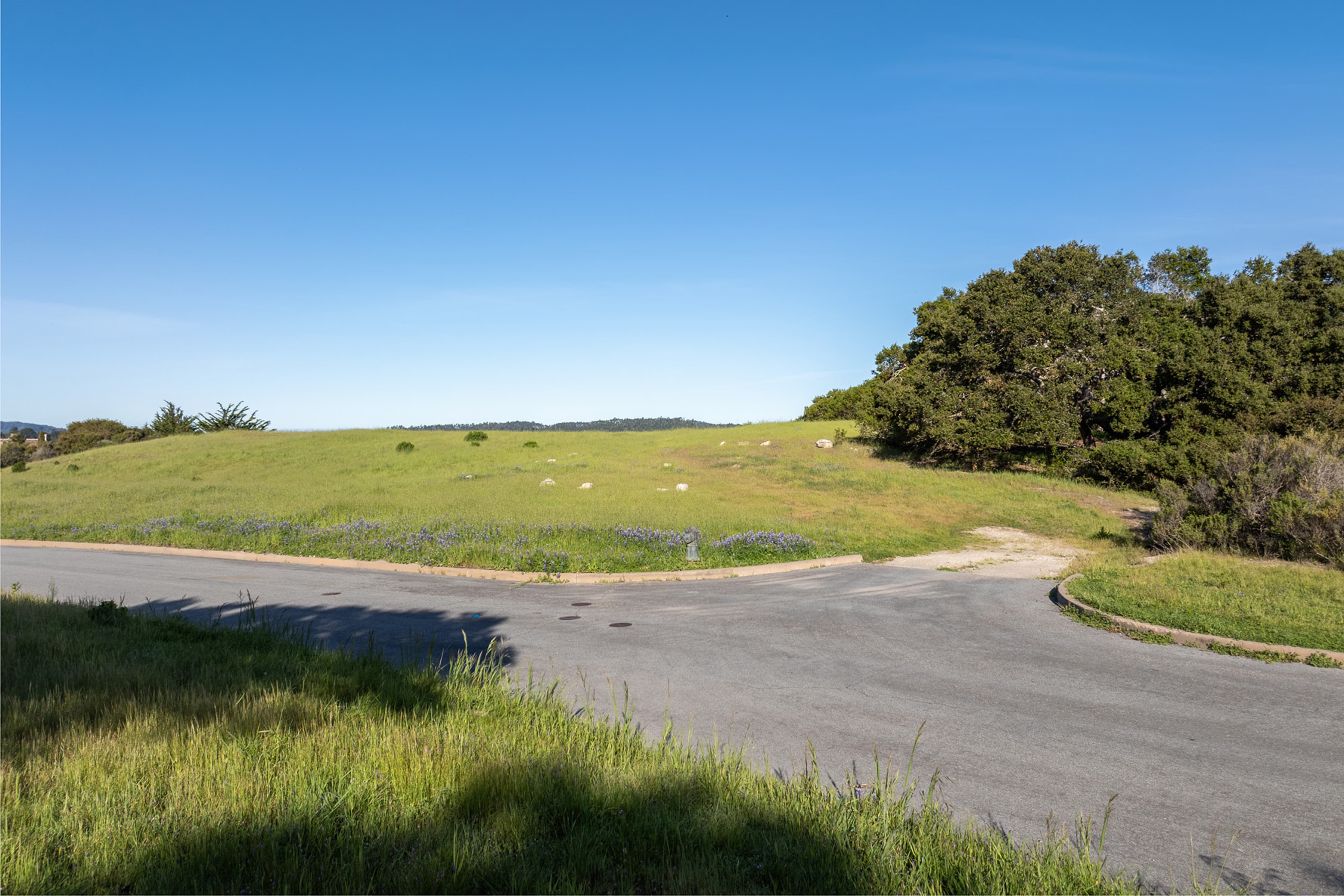 25825 Via Malpaso (Lot 68) - Photo 4