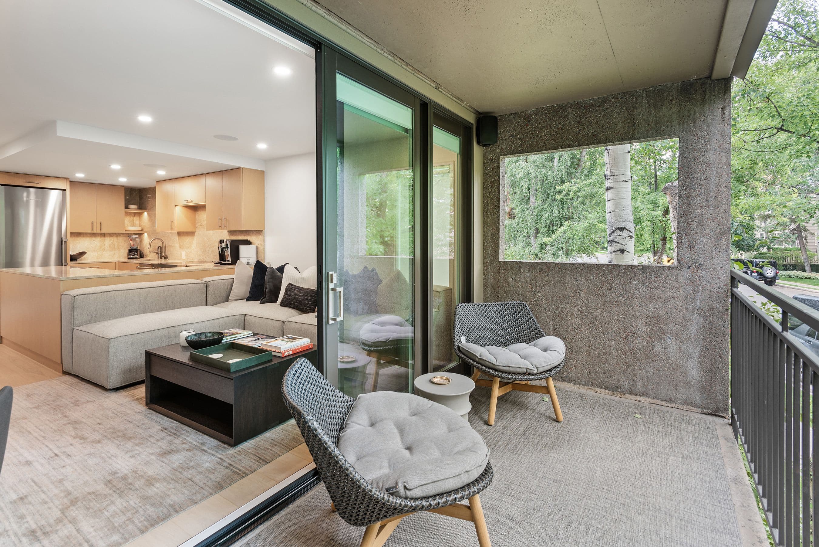800 E Hopkins Avenue B5, Aspen, CO 81611 - Photo 27