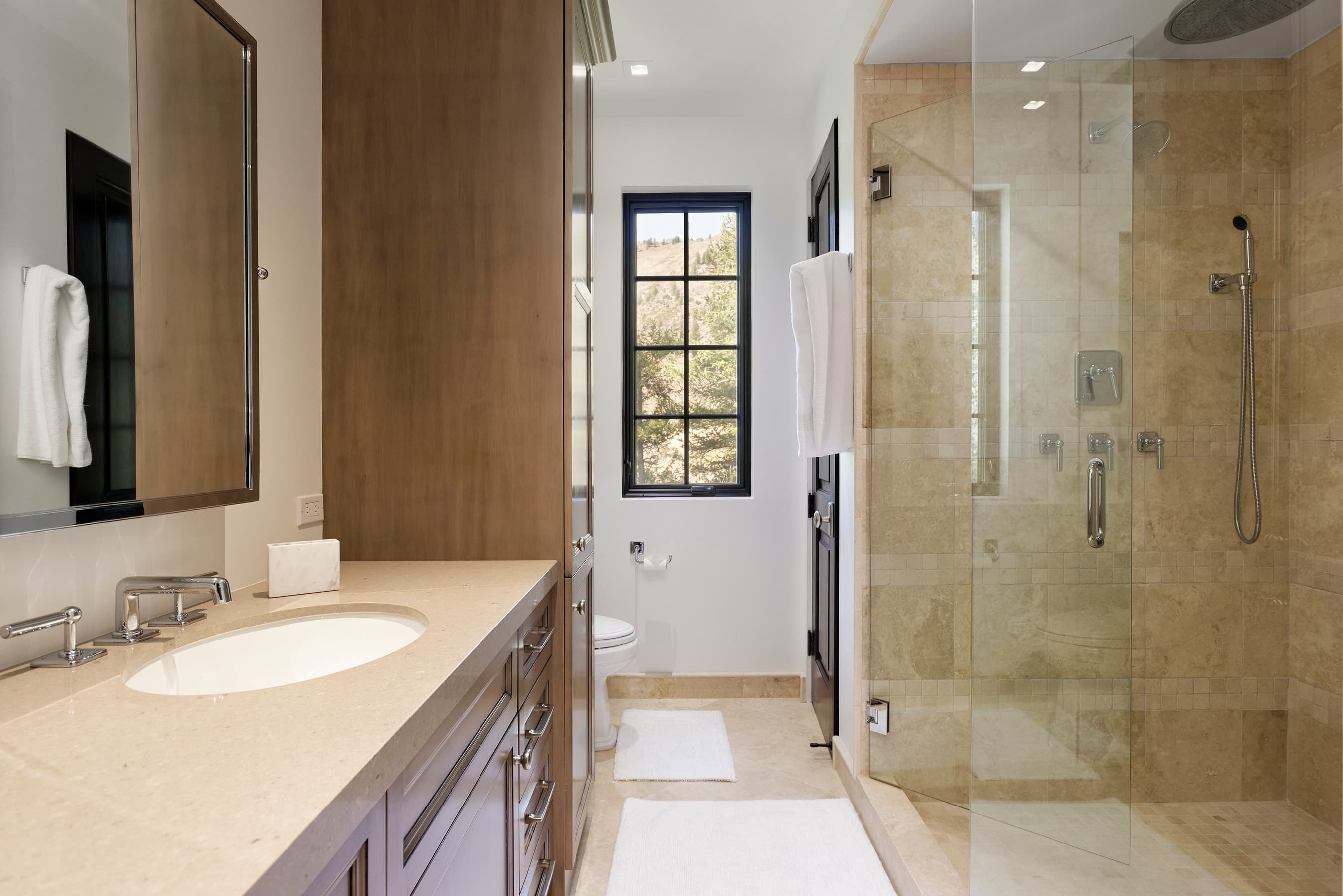 235 Exhibition Lane, Aspen, CO 81611 - Photo 24
