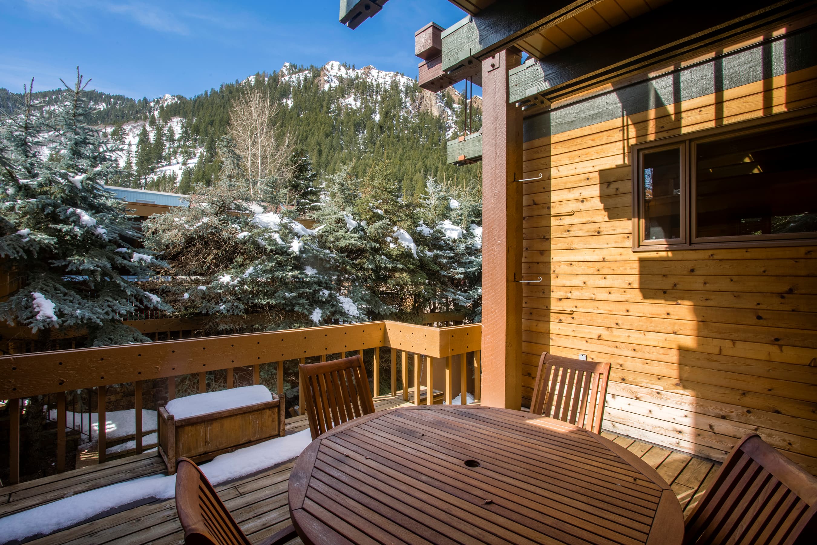 237 W Hopkins Avenue, Aspen, CO 81611 - Photo 7