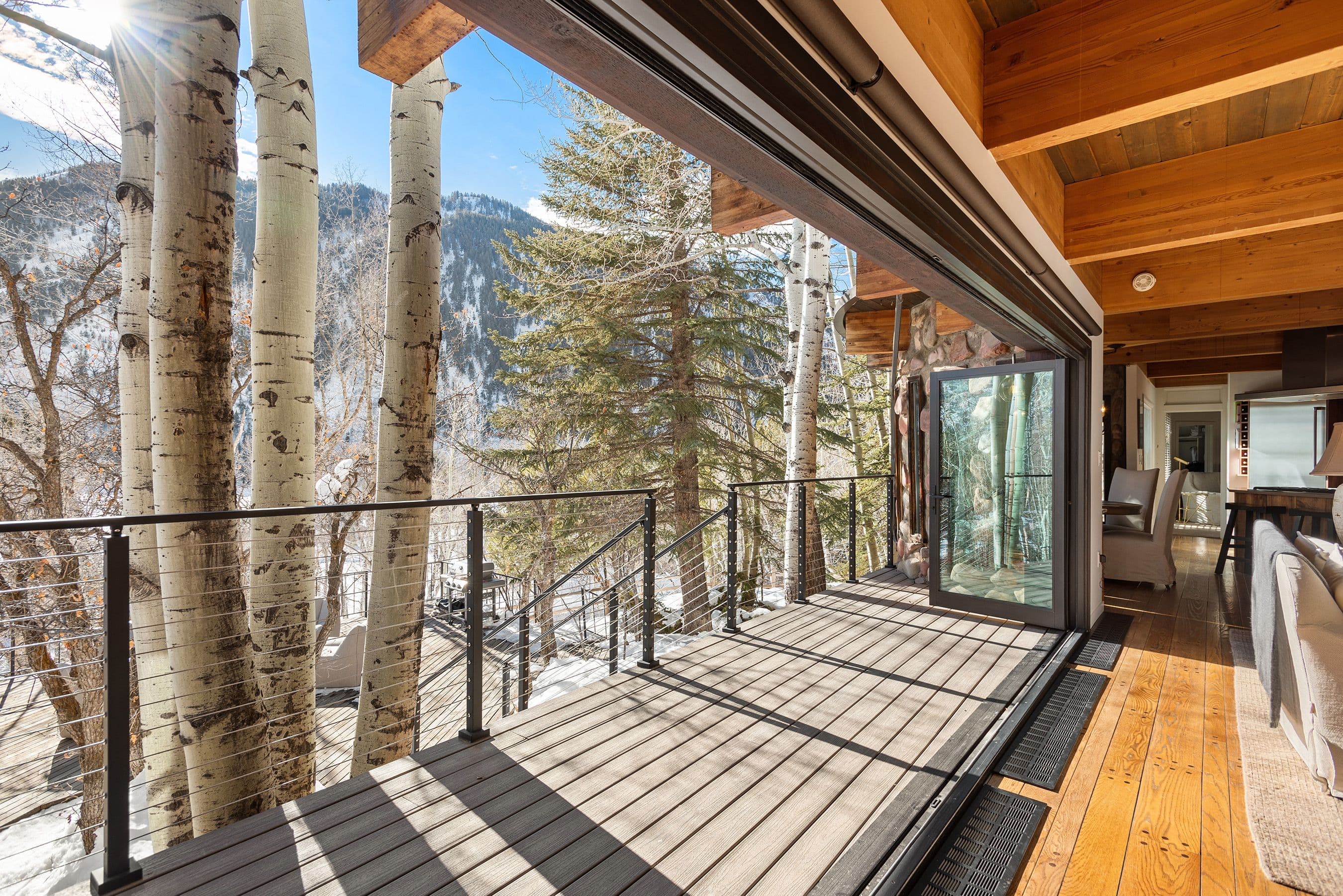 164 Eastwood Road, Aspen, CO 81611 - Photo 26