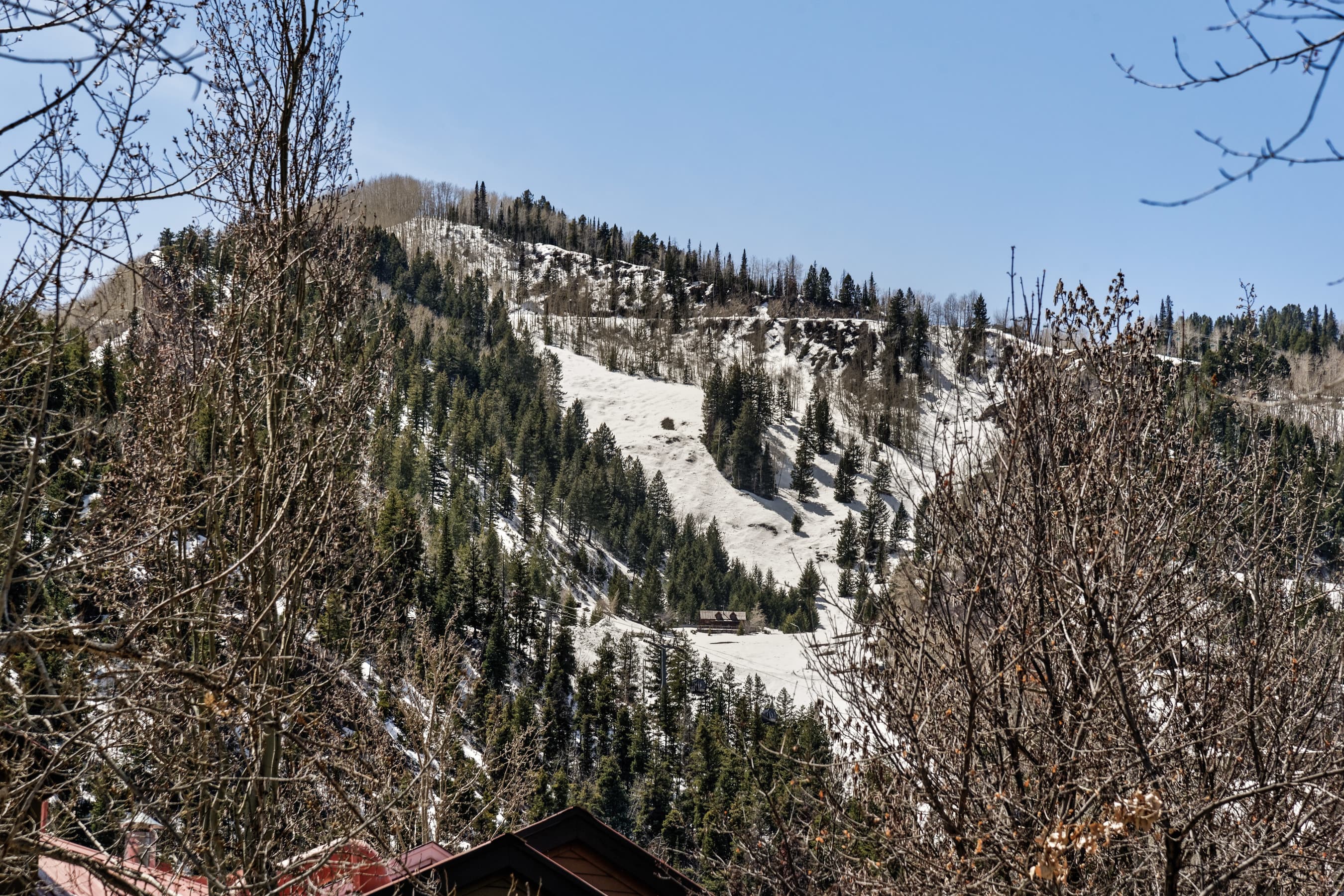 926 E Durant Avenue Unit 3, Aspen, CO 81611 - Photo 8