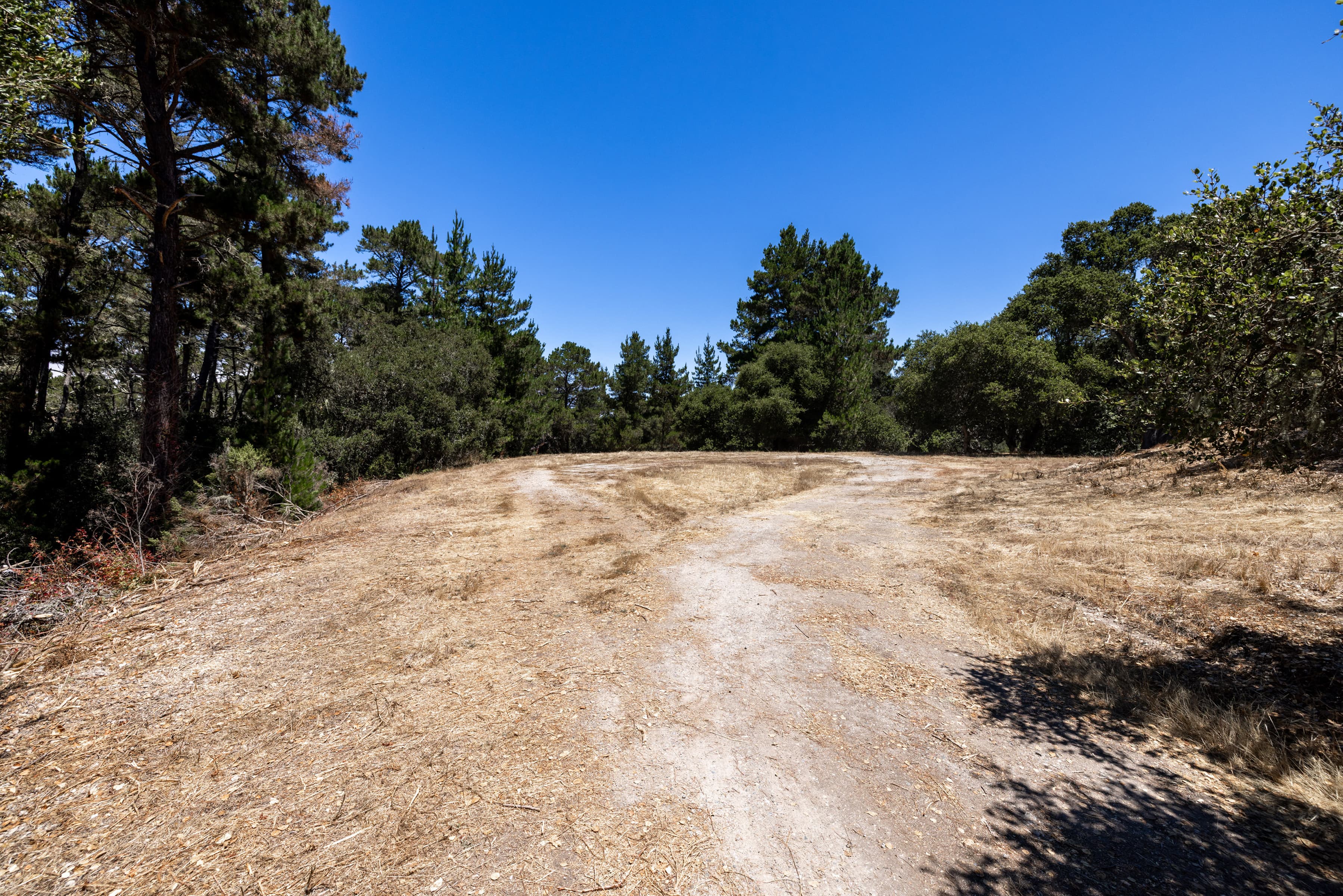 0 Paseo Venado (Lot 116) - Photo 4