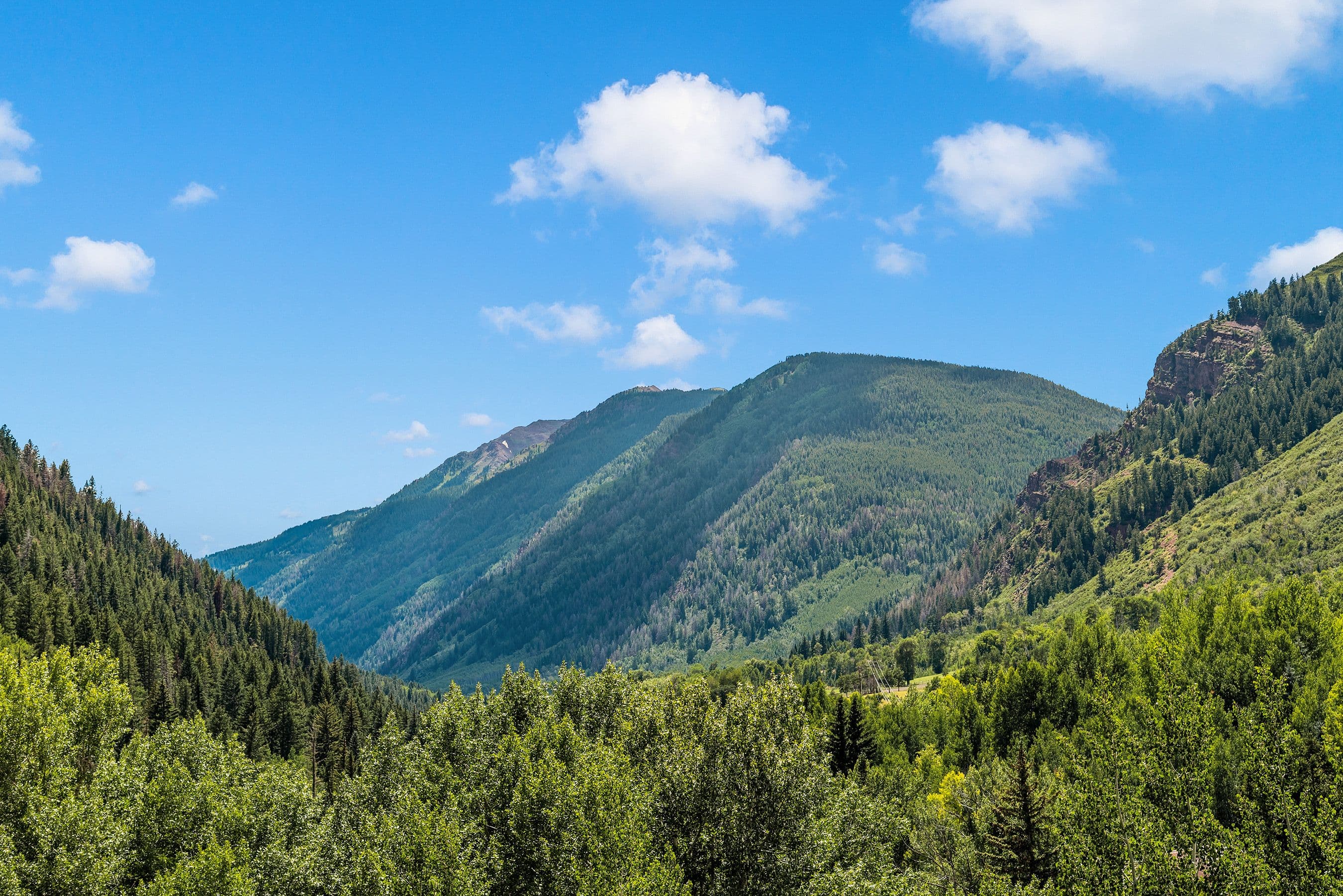 83 Exhibition Lane, Aspen, CO 81611 - Photo 46