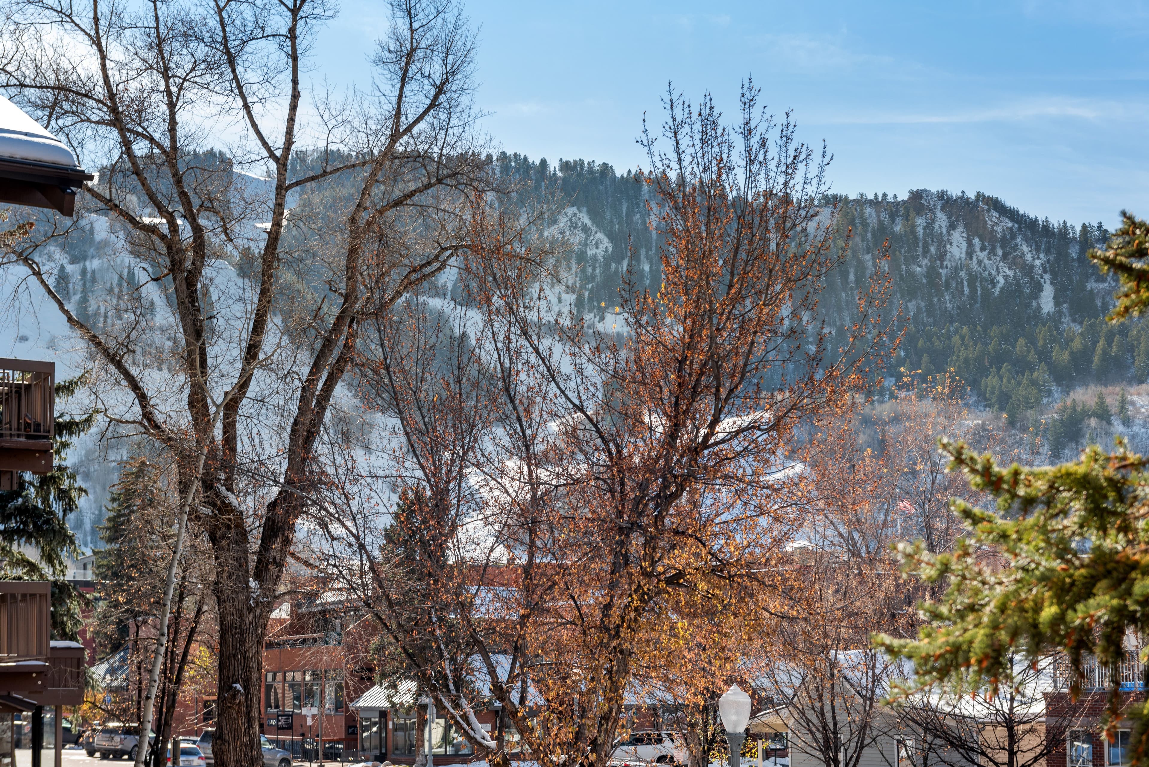 605 E Main Street #7, Aspen, CO 81611 - Photo 12